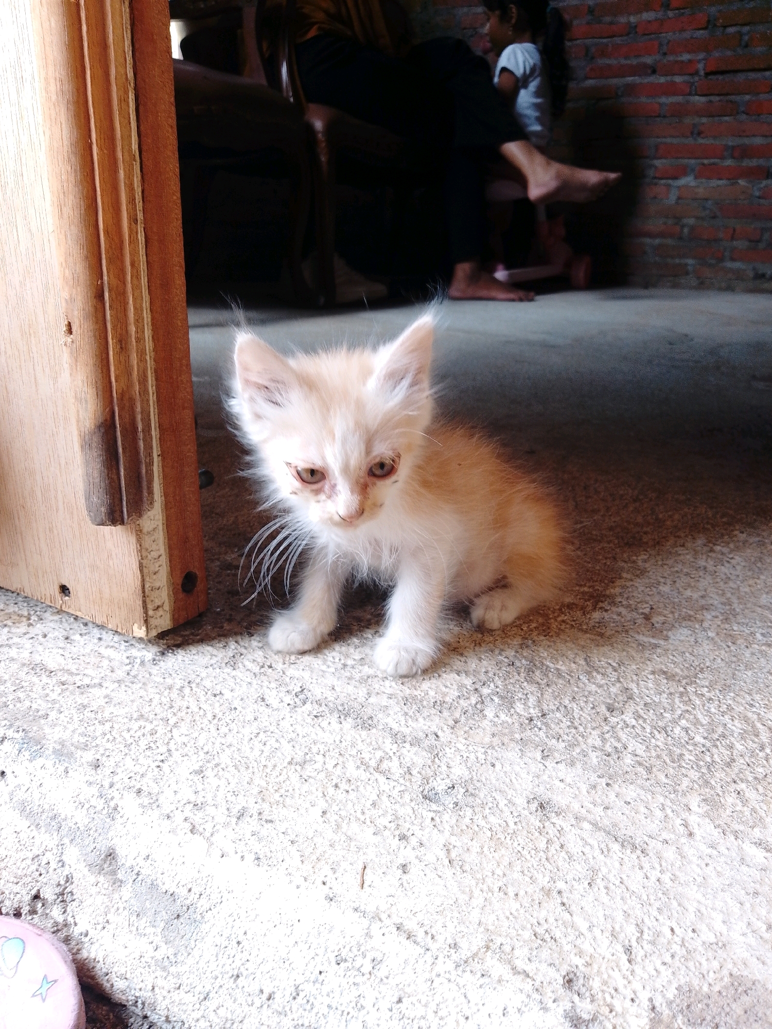 A fluffy, light orange kitten with large, expressive eyes is sitting on a rough, concrete floor. To the left of the kitten is a light brown wooden door frame. In the background, slightly out of focus, a person is sitting on a chair and a child is standing. A brick wall is visible behind them. The setting appears to be an indoor or semi-outdoor area, possibly in a residential space in Cikal, Indonesia.