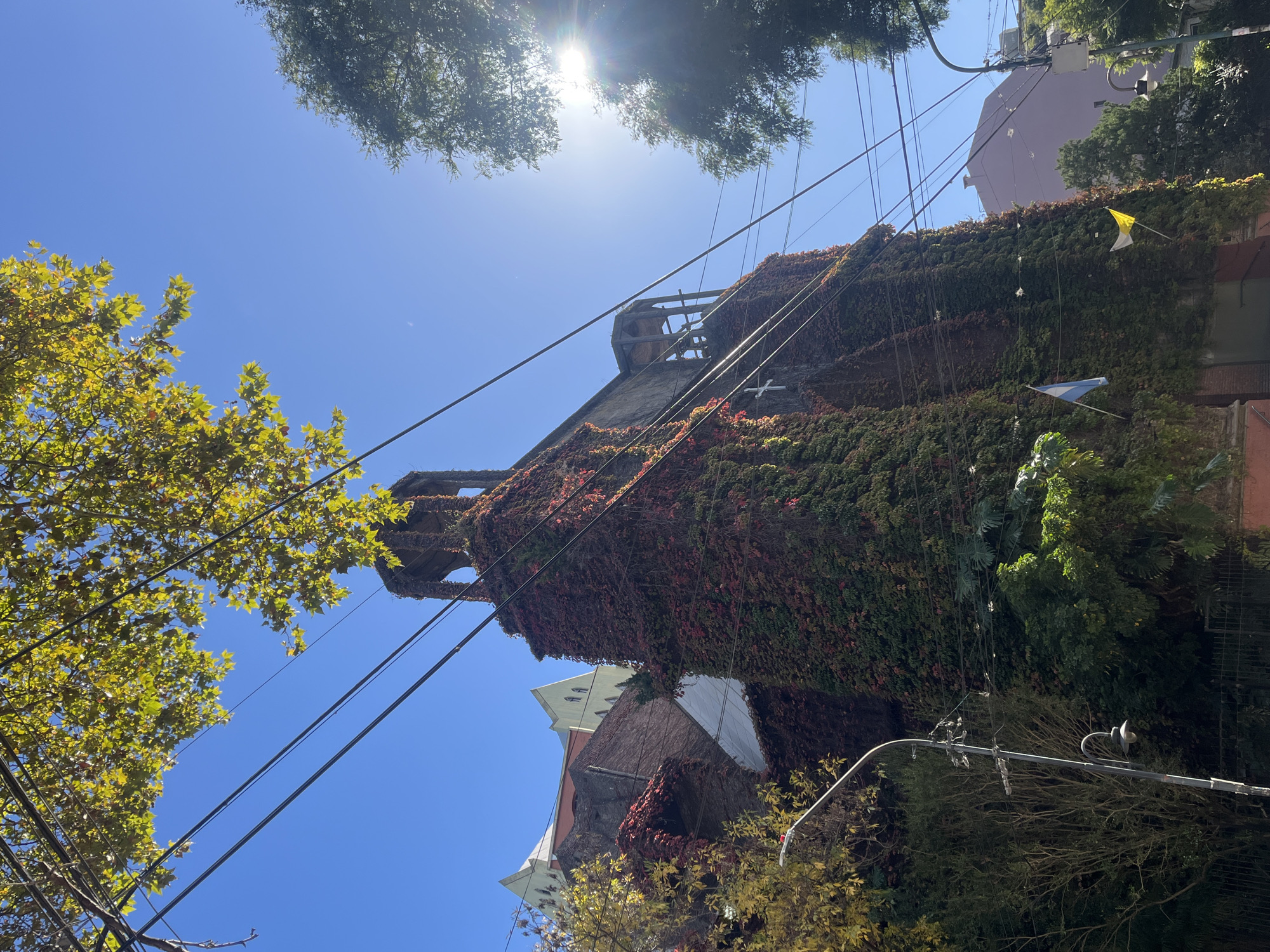 The image depicts a multi-story building in Olivos, Argentina, heavily overgrown with vines. The structure appears to be an old building with a deteriorating wooden framework on its roof. Electrical wires run across the facade and past the building. The building is covered with green and red ivy. There are two flags hanging from the building. A blue and white flag is at the bottom, and a yellow and white flag is towards the top. The sky is blue with scattered tree branches and foliage visible on either side of the building. A street lamp is in the lower right corner. Other buildings are in the background.