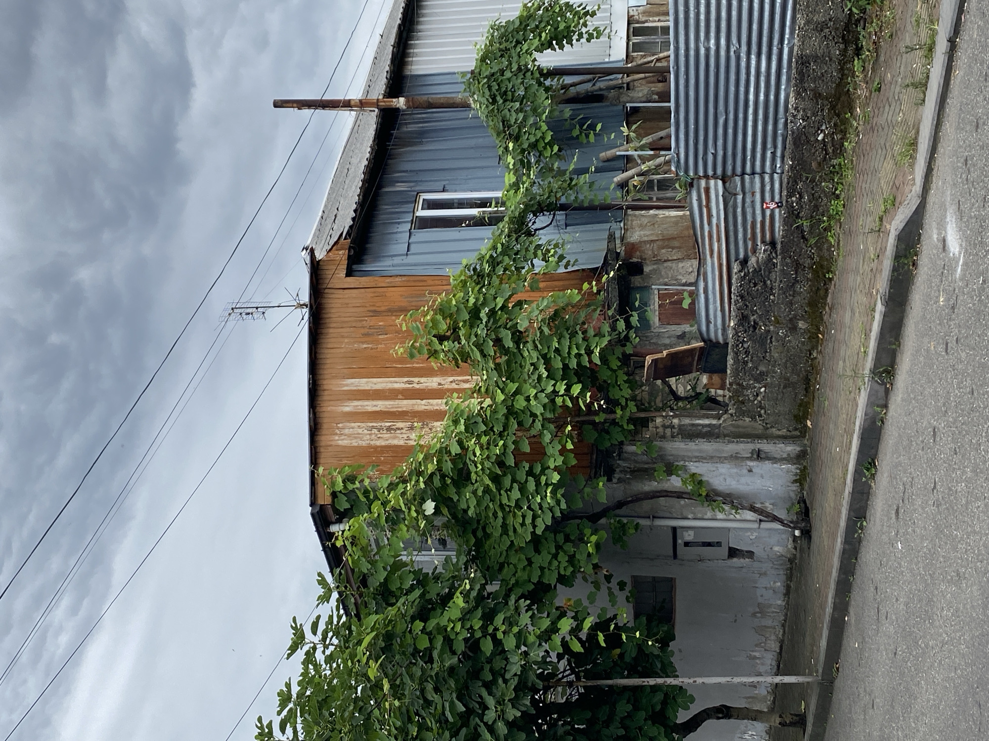 A medium shot captures a weathered building on a cloudy day in Batumi, Georgia. The building's facade is a patchwork of materials, featuring sections of orange-stained wood siding, corrugated blue metal, and ribbed white metal panels. Green vines climb exuberantly over the structure, some arching dramatically across the front. A single window with a white frame is visible on the blue section. To the left, a mature tree with large green leaves stands next to a gray, stucco-walled section of the building, which has peeling paint and a dark window. A vertical gray pipe runs down the stucco wall, connecting to a drain at ground level.
The foreground shows a gray asphalt road with a concrete curb, separating it from a brick-paved sidewalk. A low concrete wall runs along the edge of the property, topped by a corrugated metal fence in various states of repair. The sky overhead is overcast with dark, heavy clouds. Electrical wires crisscross the upper portion of the frame. A rusty metal pipe protrudes vertically from the roofline on the right side of the building, and a television antenna is visible on the roof near the center. The overall impression is one of a slightly neglected but lived-in urban environment.