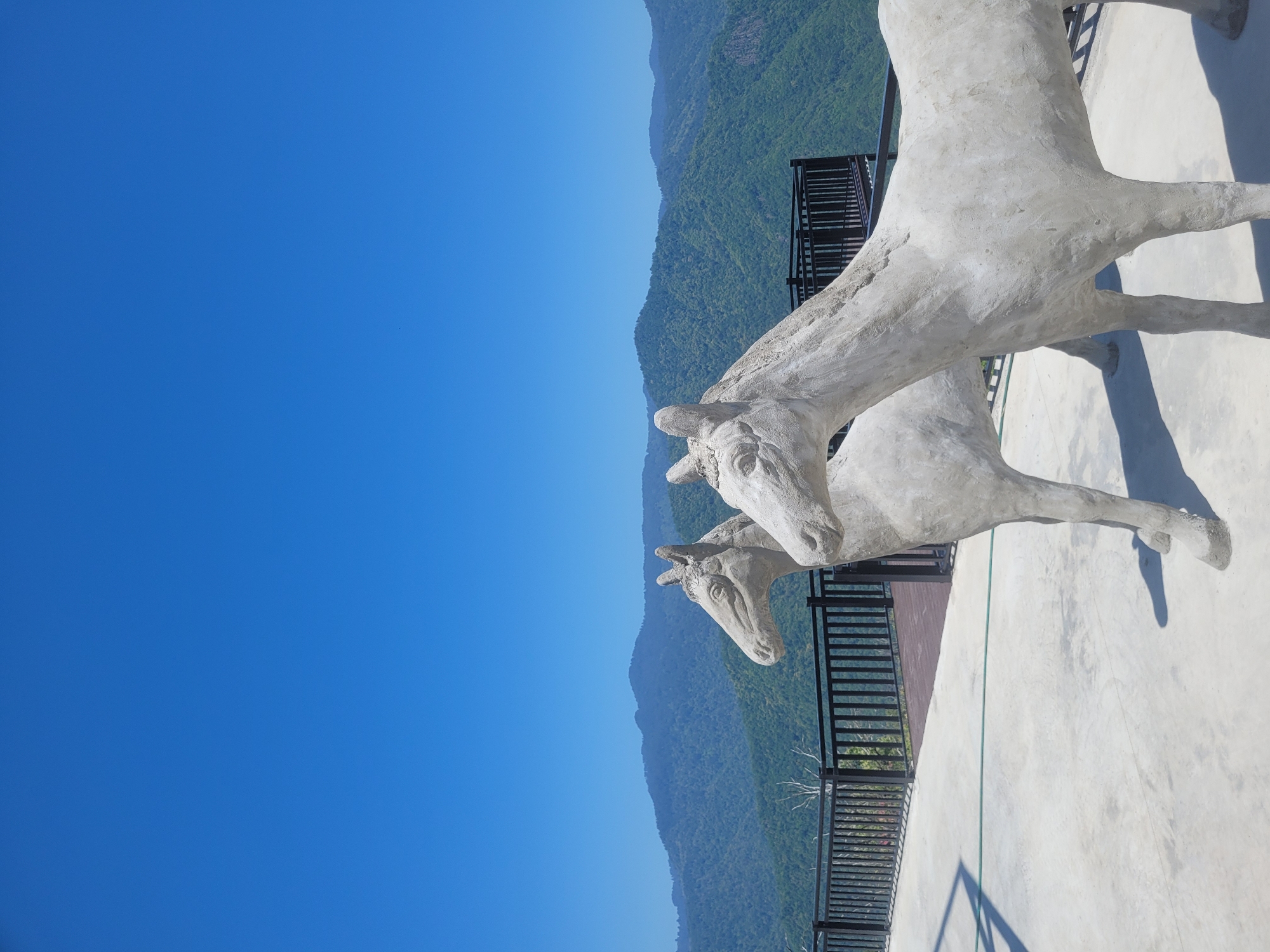 The image shows two horse sculptures in the foreground, made of a light-colored material, possibly concrete. The sculptures are positioned on a paved area with a railing and a wooden deck in the background. Beyond the deck, a lush green mountain range stretches across the horizon under a clear blue sky. The scene is set outdoors, suggesting a viewpoint or scenic location. The image is taken from a slightly elevated angle, looking towards the mountains. No people are visible in the image. The location is identified as the city of Milisi, Georgia.