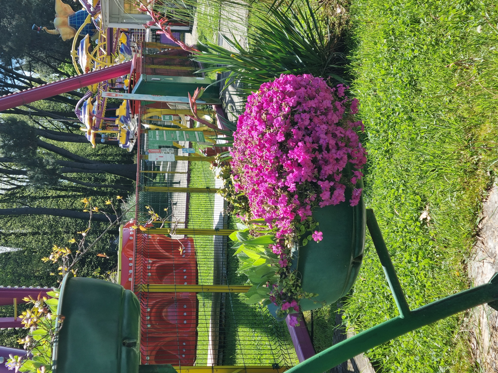 A green flower pot filled with pink petunias and other greenery sits in a grassy area with a colorful amusement park ride in the background. The ride features bright yellow, purple, red, and green colors, and a fence made of yellow and green wire mesh surrounds the ride. Trees are visible in the background. This image was taken in Sochi, Russia.