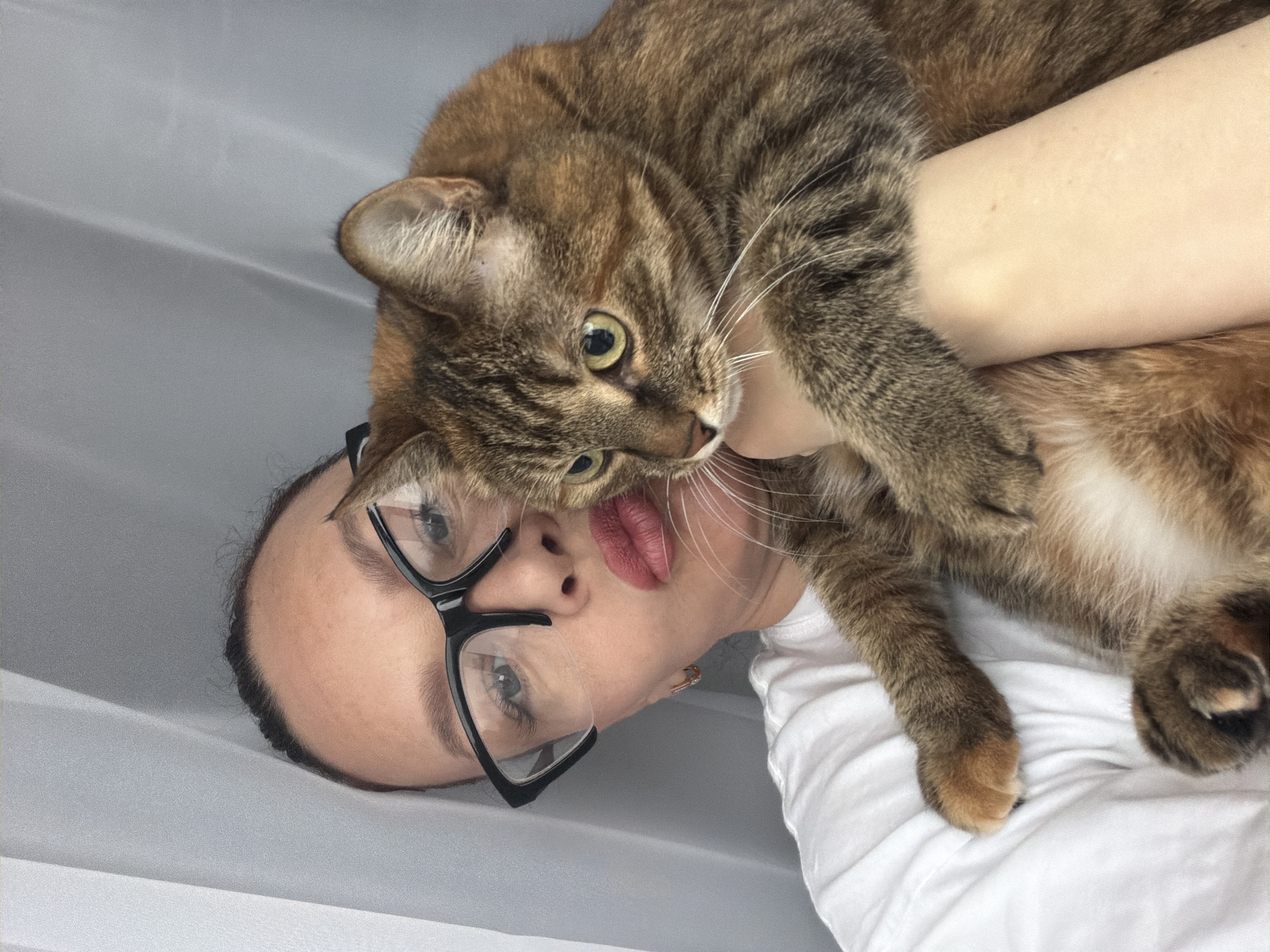 A light-skinned person wearing black-rimmed glasses and a white shirt is holding a tabby cat with yellow eyes. The background consists of white fabric. The location is unknown, not necessarily in Chaikovsky, Russia.