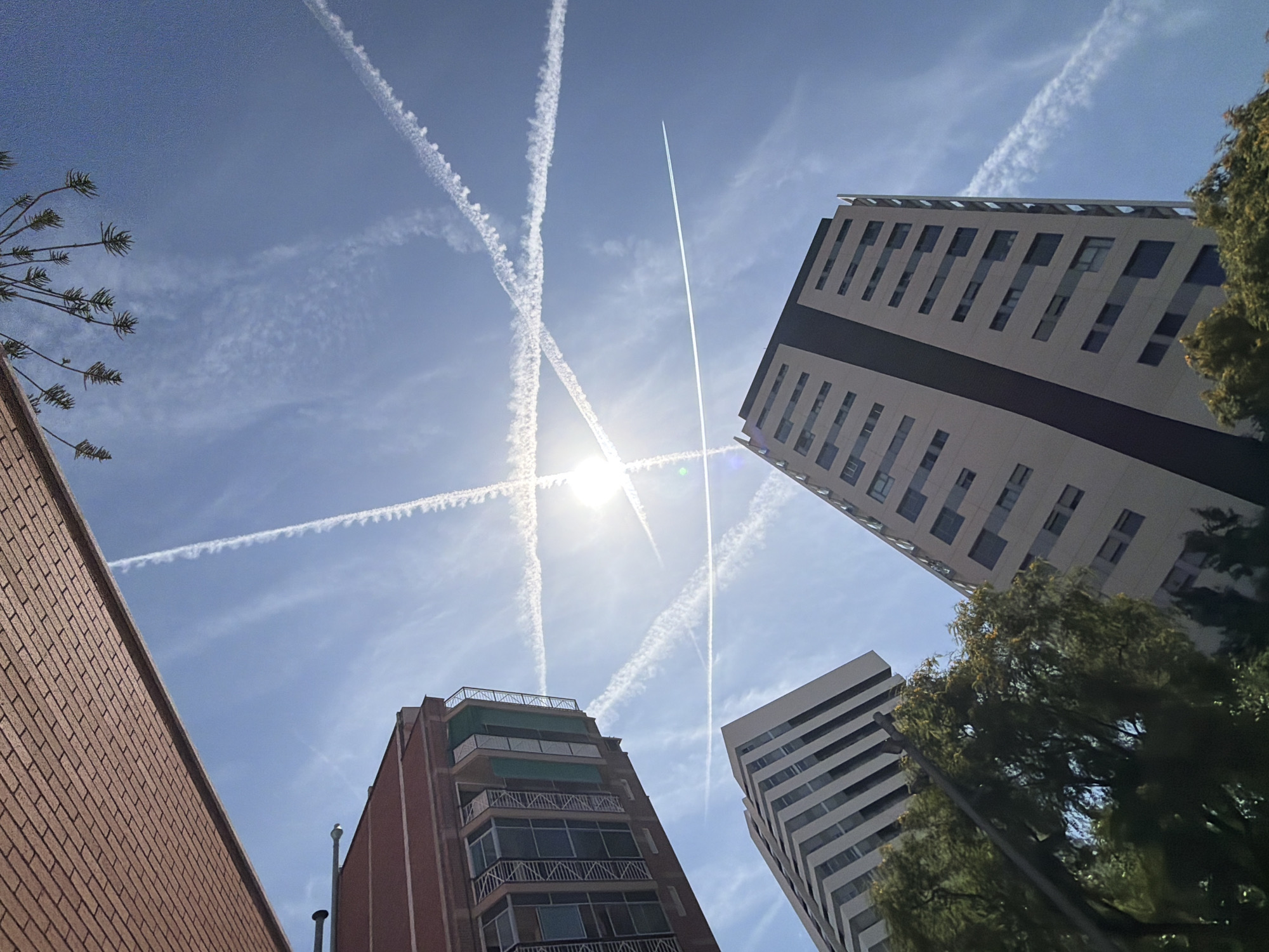 The image displays an upward-angled view of a bright blue sky filled with numerous contrails, framed by various urban structures and vegetation in l'Hospitalet de Llobregat, Spain. The sun is prominently featured near the center-top, exhibiting significant glare and lens flare, particularly at the intersection of several strong contrails that form a distinct "X" pattern. Additional contrails, both faded and sharp, traverse the sky, with one notably long, thin, straight contrail extending horizontally across the mid-right section.
In the upper left, a reddish-brown brick wall forms an overhead architectural element. Below it and to the left, a multi-story building with a reddish-brown facade and multiple balconies (some featuring green awnings, others white railings) is partially visible. Two modern, light-colored high-rise buildings dominate the lower half of the frame. The building on the lower-left features a distinct chevron or striped pattern on its facade. The building on the lower-right is tall and rectangular, characterized by a prominent dark vertical stripe and multiple rows of horizontal windows.
At the very top-right, a cluster of spiky, pine-like foliage hangs into the frame. The bottom of the image is filled with dense green tree foliage, partially obscuring the bases of the modern buildings. No people are visible, and no specific actions or interactions are depicted. The scene is illuminated by strong daylight.