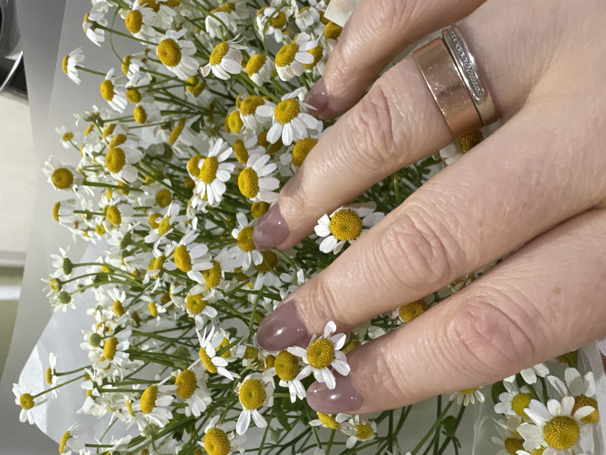 A close-up shows a hand with two rings on the ring finger resting on a bouquet of chamomile daisies. The hand is light-skinned, and the nails are painted with a muted, glossy mauve color. One ring is a plain band of gold, while the other appears to be white gold or platinum with a row of small stones. The flowers have white petals and bright yellow centers, creating a vibrant contrast with the hand. The background shows the bouquet of daisies wrapped in a light-colored packaging, which is white or very light grey. The image gives a shallow depth of field, blurring some of the daisies in the background and emphasizing the ones near the hand.
The image was taken in Chaikovsky, Russia.