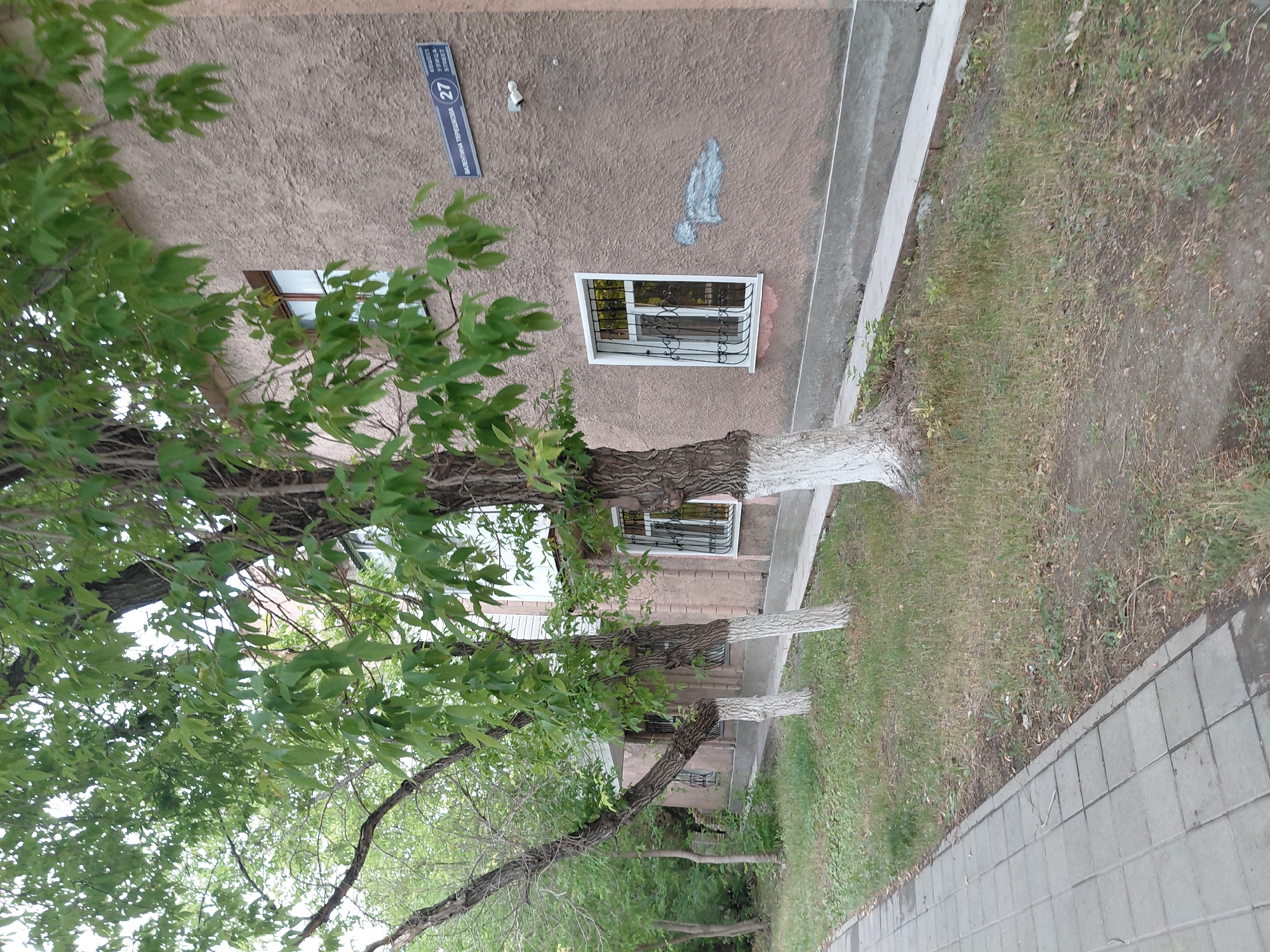 The image shows a sidewalk and the facade of a building in Qarağandı, Kazakhstan. Trees with whitewashed trunks line the sidewalk, with green leaves and branches extending towards the building. The building is a light brown color with several windows, some of which have barred fronts. A street sign is visible on the upper right side of the building, reading "ВАЛЕНТИНЫ ТЕРЕШКОВОЙ 27" and also displaying "STREET" in English. A security camera is mounted on the wall near the street sign. The ground between the sidewalk and the building is covered with grass and some dirt. The overall scene depicts an urban environment with natural elements.