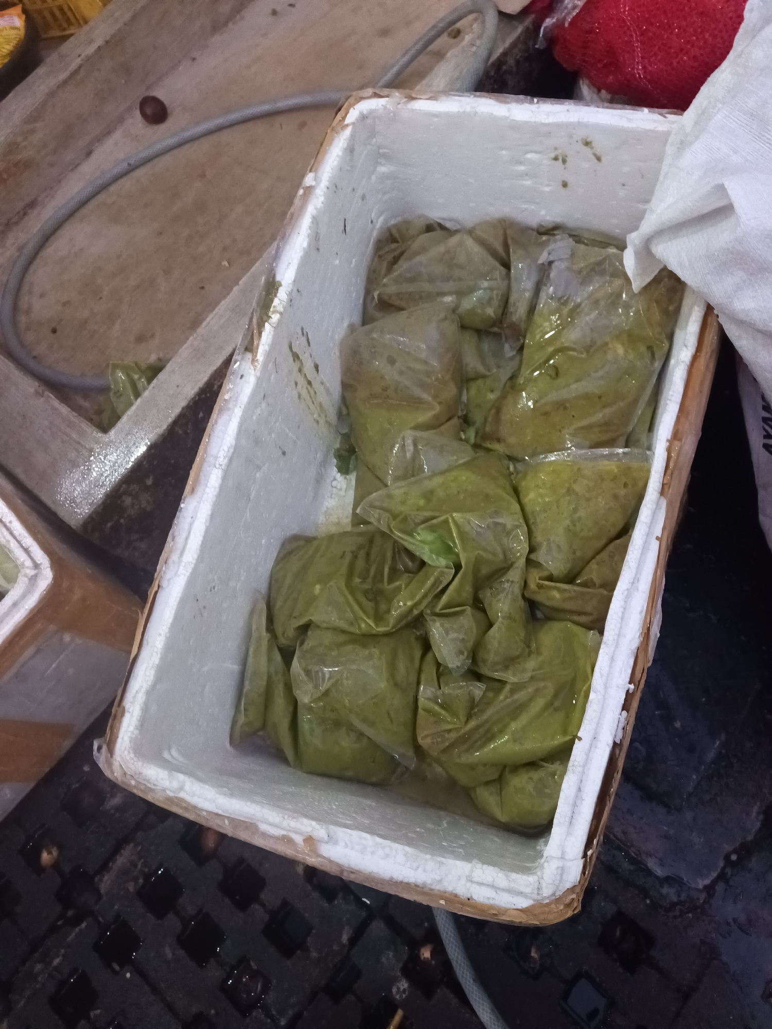In North Jakarta, Indonesia, a white styrofoam cooler is filled with numerous plastic bags containing a light green substance, possibly a food item. The cooler is situated on a dark, textured surface, possibly a mat or floor. To the left of the cooler, a portion of a wooden surface with a coiled gray hose is visible. To the right of the cooler, a white cloth is draped over the edge, and part of a red netted bag is also present. The overall scene appears to be in an outdoor or market environment given the flooring and surrounding materials.