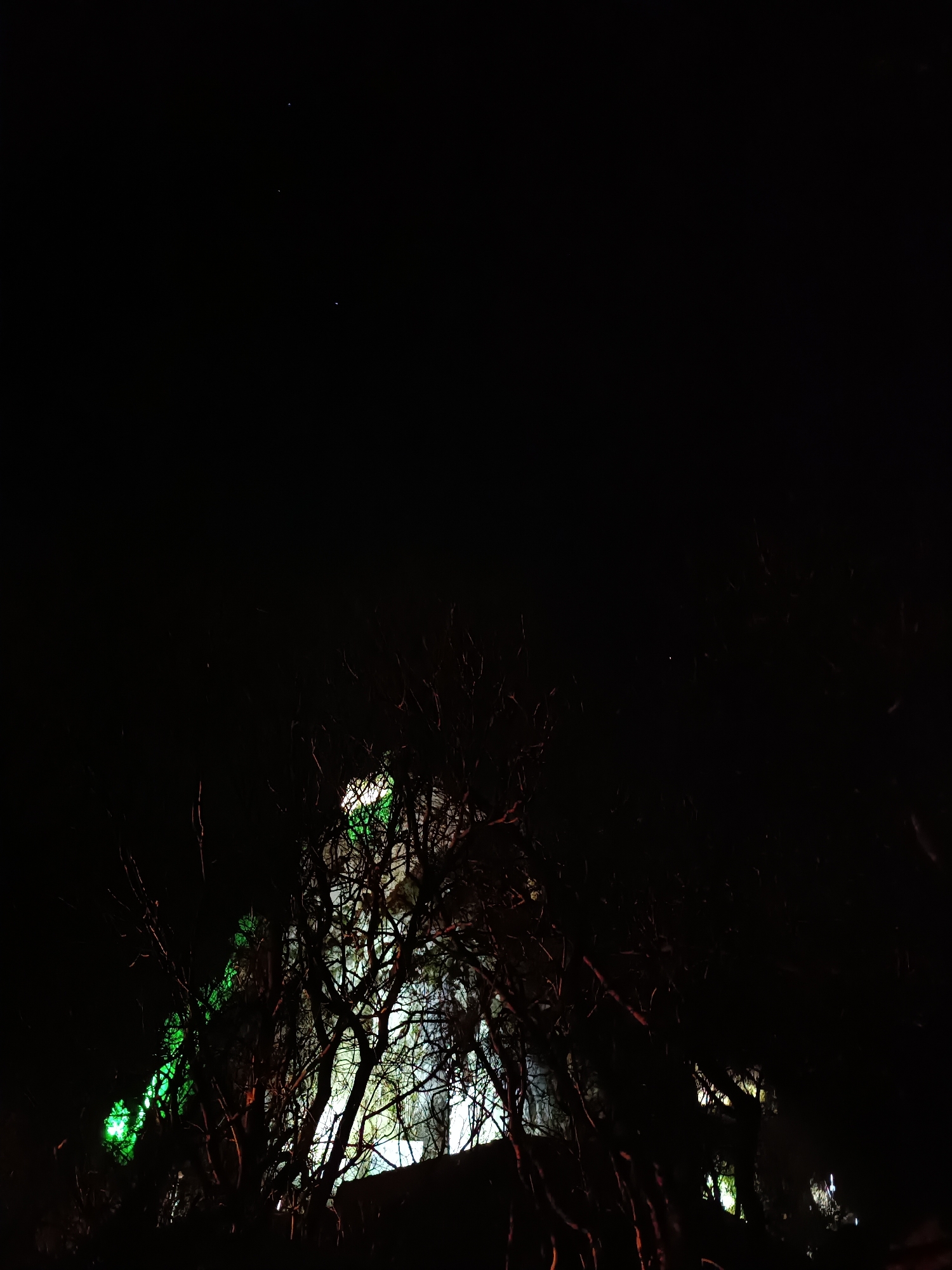 The image depicts a nighttime scene in Asenovgrad, Bulgaria, focusing on an illuminated architectural structure partially obscured by dark, bare tree branches. The central subject is a large building or monument, predominantly lit by white light, with distinct sections exhibiting vibrant green artificial illumination, particularly on the left side of the visible structure. Silhouettes of numerous leafless tree branches occupy the foreground and mid-ground, creating an intricate, dark pattern against the illuminated background. The upper portion of the frame is an undifferentiated black sky, with a few faint, scattered white specks, likely distant lights or stars. No individuals, vehicles, or specific activities are discernible. The scene is static.