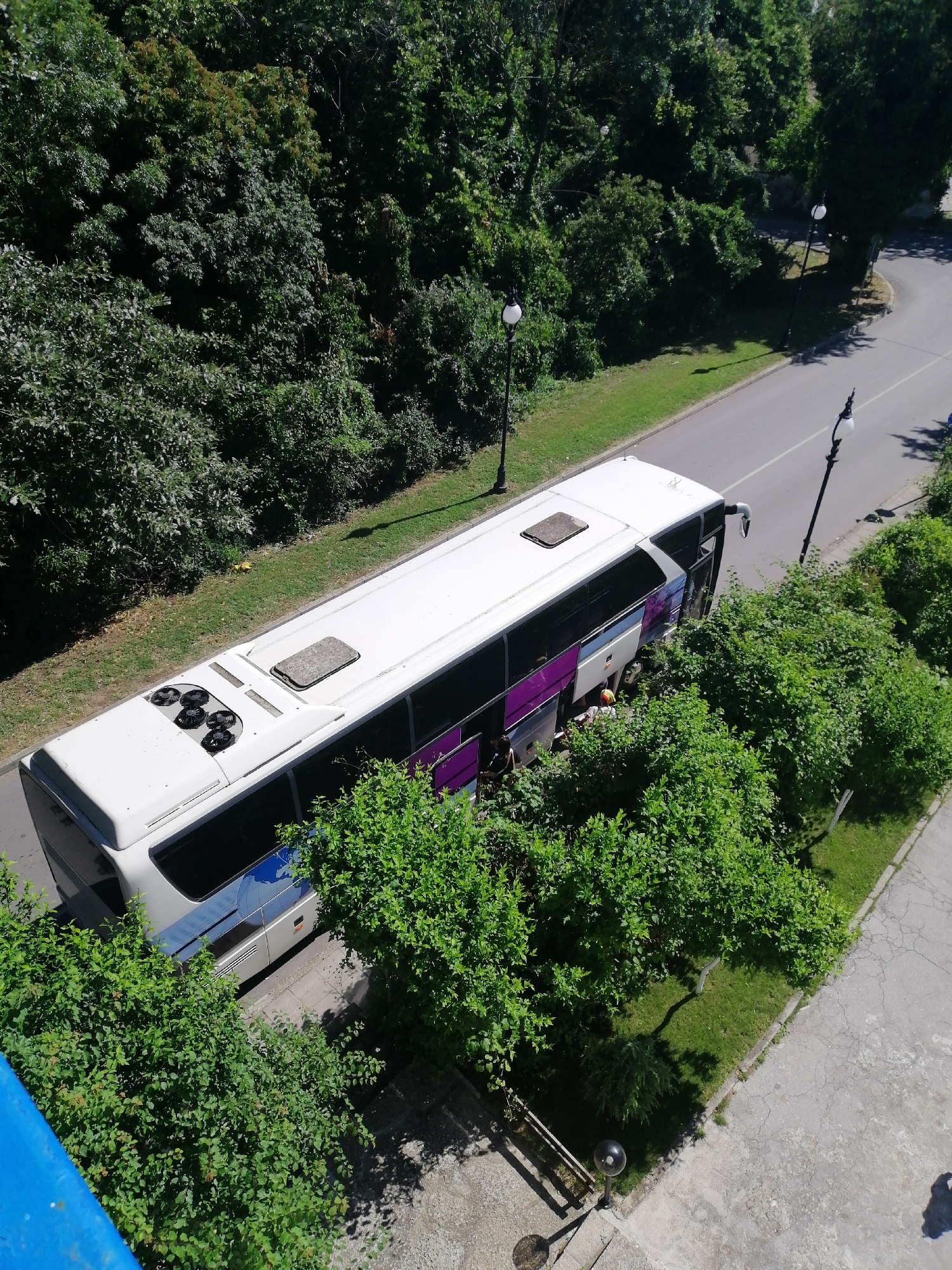 A white tour bus is parked on the side of a road, partially obscured by dense green trees. The bus has purple and blue graphics on its side, depicting abstract shapes and a world map. The windows are tinted. On the roof of the bus, there are several air conditioning units and a rectangular hatch.
The scene is set in an outdoor environment with lush vegetation and a paved road. Several streetlights with white globes are visible along the roadside. The time of day appears to be daytime, with strong sunlight casting shadows. The weather seems to be clear and warm. The location is implied to be Varna, Bulgaria.
There are a few people visible near the open doors of the bus, some standing and one person appears to be bent over. The presence of the bus and the people suggests it might be a tour group or a group of travelers. The overall atmosphere seems calm and ordinary, with no obvious signs of distress or urgency. The image is taken from an elevated perspective, looking down on the bus and its surroundings.