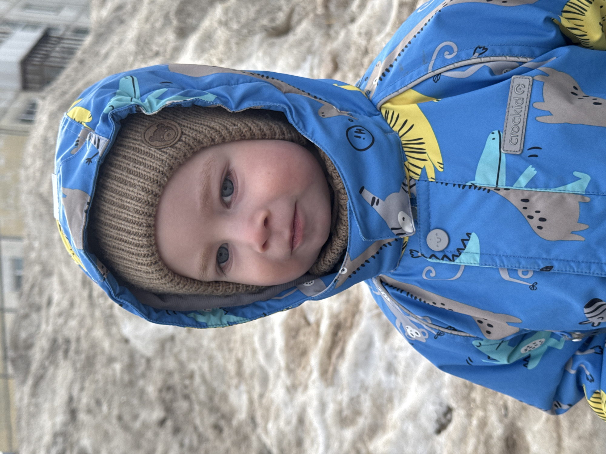 A young child, approximately a toddler, is depicted in a close-up, chest-up portrait shot outdoors in Chaikovsky, Russia. The child, with fair skin and blue eyes, wears a light brown knit beanie under a vibrant blue hooded jacket. The jacket is patterned with grey and light blue cartoon animals (including giraffes, monkeys, and alligators) and yellow sun motifs. A "crockid" brand label is visible on the child's right side of the jacket. The child's expression is neutral as they gaze directly towards the viewer. The background consists of a large, irregular mound of dirty, brownish-grey snow, suggesting a winter or early spring environment. Above and behind the snow, a light-colored, multi-story residential building, typical of urban architecture, is partially visible, indicating an urban setting within the city.