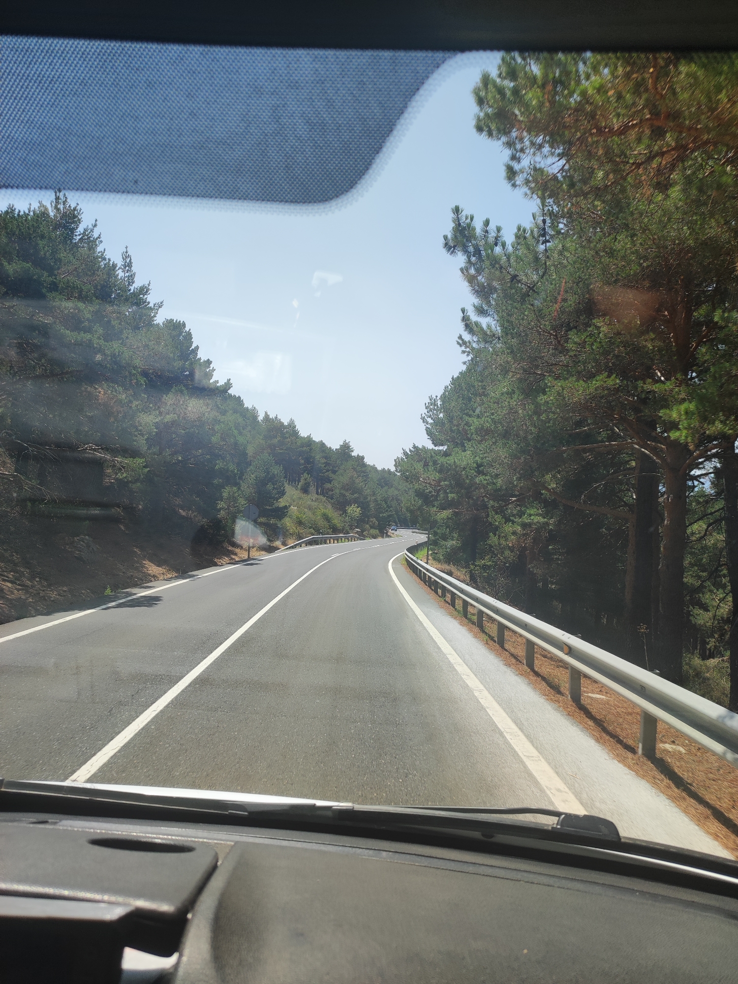 The image depicts a view from inside a vehicle driving on a paved road that curves to the left. The road has a white solid line on the left edge and a white dashed line dividing the lanes. On the right side of the road, there is a metal guardrail and beyond that, a dense forest of pine trees. The terrain slopes upwards to the left of the road, also covered in trees. The sky is clear and blue with some light clouds visible. The dashboard of the vehicle is visible at the bottom of the frame. This scene is consistent with a road located in the mountainous region near Navacerrada, Spain, known for its pine forests and winding roads.