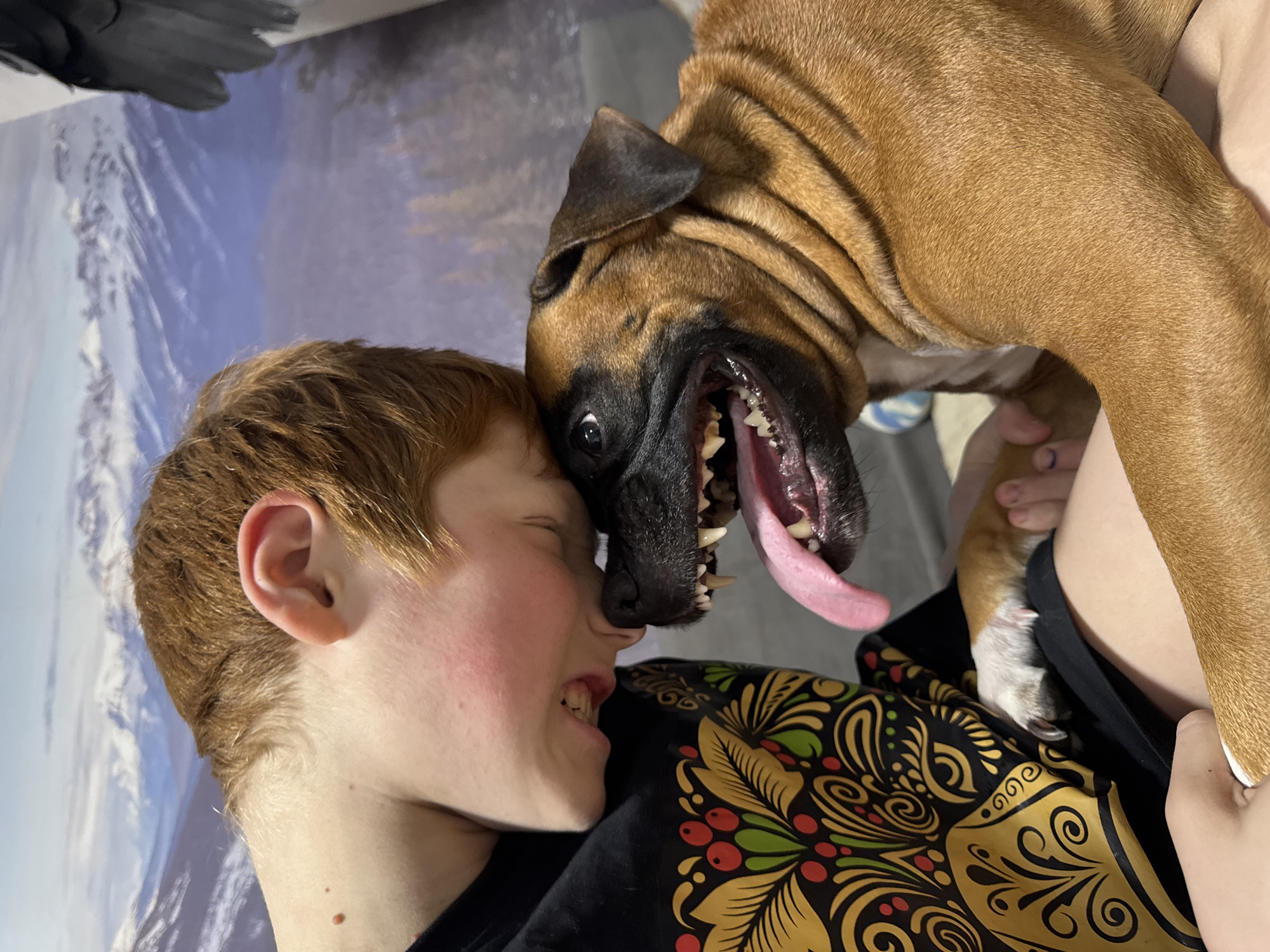 A young, light-skinned boy with short, reddish-brown hair has a brown Boxer dog pressed against his face. The dog's mouth is open, revealing its teeth and tongue. The boy's eyes are closed, and his face is red. He is wearing a black shirt with an ornate, gold-colored pattern. The scene appears to be indoors, with a blurry landscape picture on the wall behind the boy. The location is Chaikovsky, Russia.