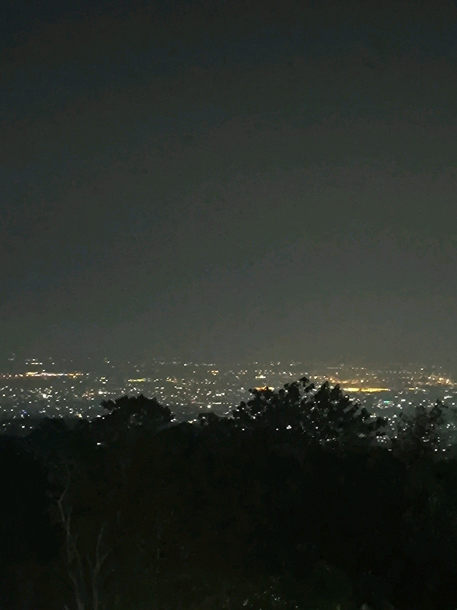The image shows a nighttime aerial view of a city from a high vantage point. In the foreground, dark silhouettes of trees obscure the lower portion of the frame. Beyond the trees, the city sprawls across the landscape, illuminated by countless lights. These lights form a dense, twinkling blanket, suggesting a large urban area. The sky above is dark and hazy, with no visible stars or moon. The overall impression is one of a vast, glowing metropolis at night, seen from a distance.