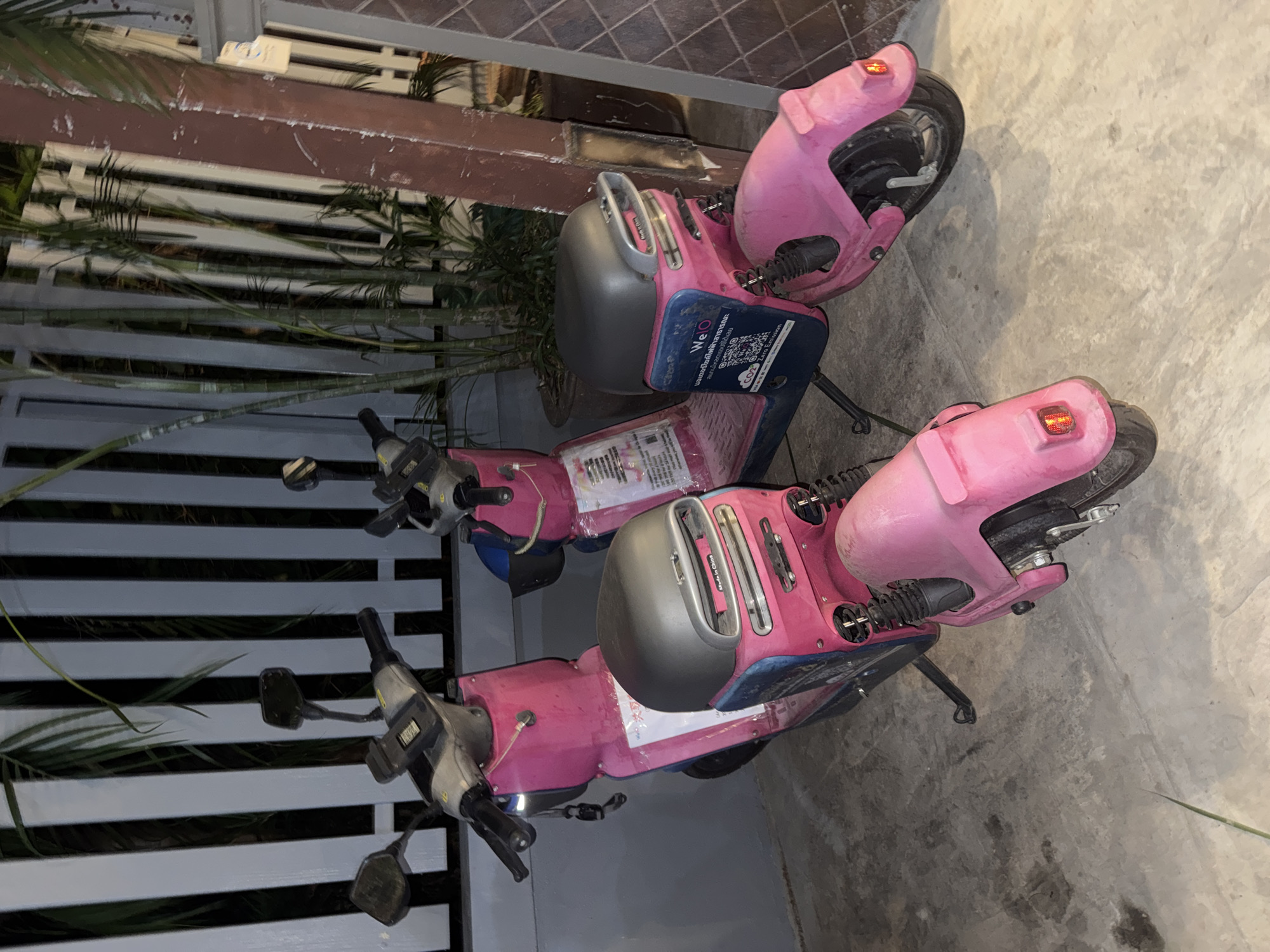 The photograph depicts two pink electric scooters parked on a concrete surface, possibly a sidewalk, in Chiang Mai City Municipality, Thailand. The scooters, identified by the "Welo" logo, are positioned next to a white fence with horizontal slats, partially obscured by greenery. One scooter is oriented to the right, while the other faces the left, creating a mirrored effect in the composition. The background includes glimpses of brickwork and additional vegetation. The scooters are equipped with gray helmets attached to the back. Text and a QR code are visible on the side of the scooters.