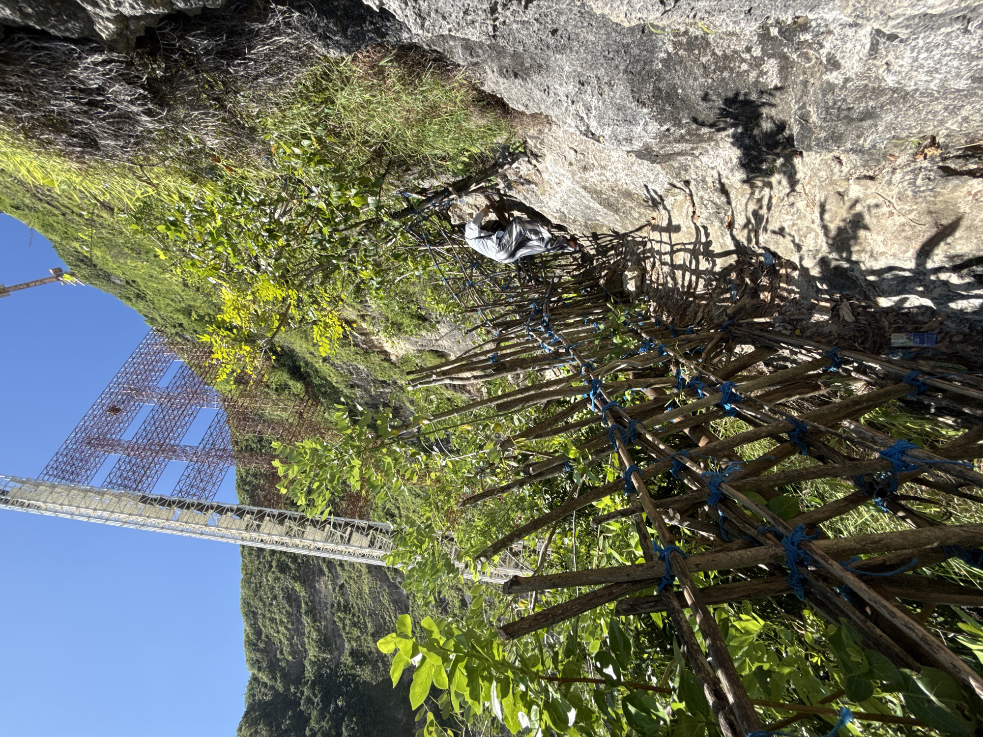 The image depicts a precarious handmade ladder in a mountainous region, potentially in or around Bunga Mekar, Indonesia, given the context. The ladder is constructed from rough-hewn wooden poles lashed together with blue rope. It appears to be built against a steep rock face with vegetation, including grass and small trees, growing on the terrain. A person wearing a striped shirt is visible partway up the ladder, seemingly engaged in climbing. The ladder is oriented at an angle, suggesting a challenging or unstable ascent. In the background, a metal suspension bridge is partially visible against a clear blue sky, implying the ladder's function might be for accessing or reaching this bridge. The overall scene suggests a remote, potentially dangerous location with improvised infrastructure for navigating the terrain.