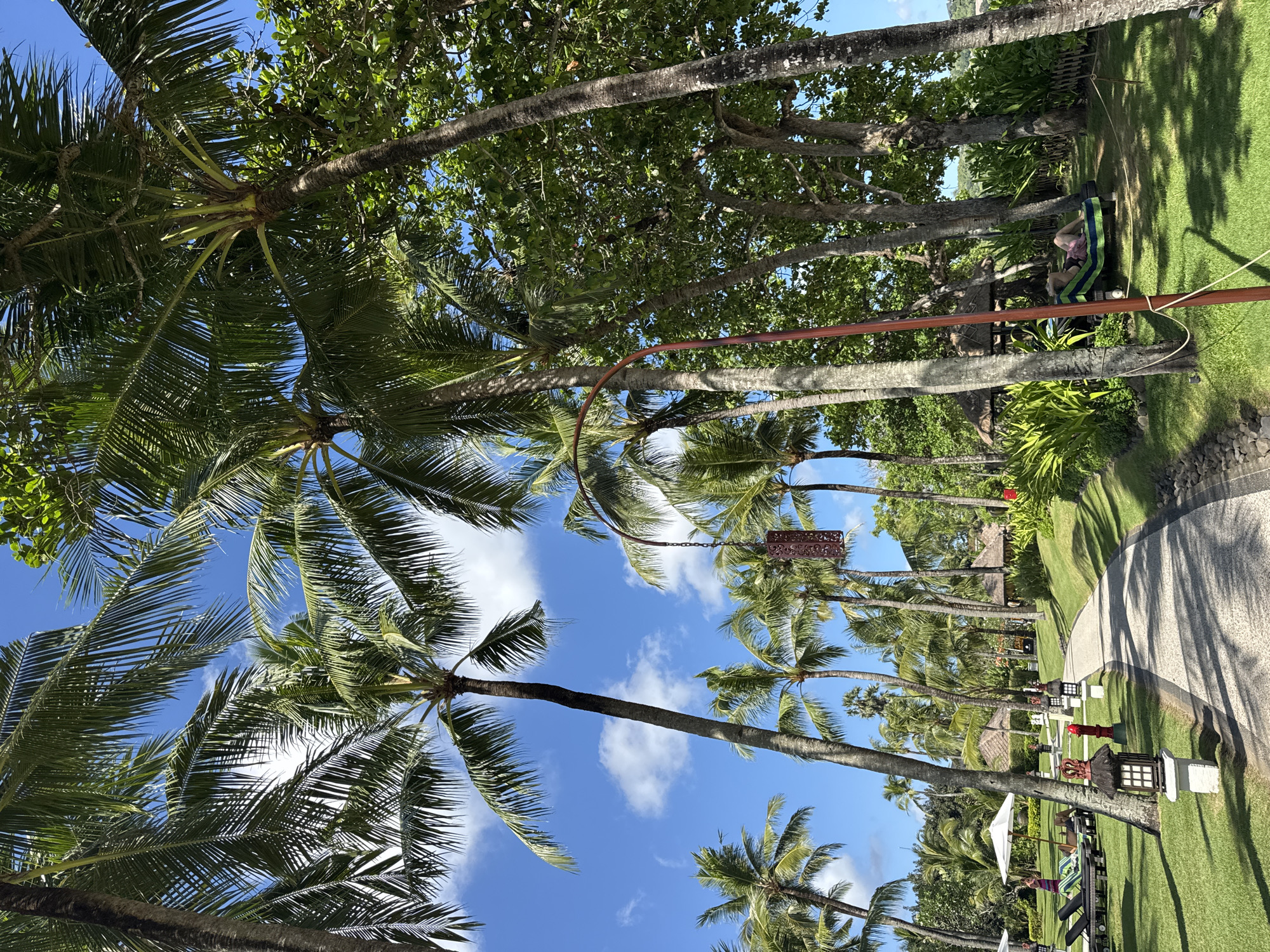 The image shows a path lined with palm trees in Kuta Selatan, Indonesia. The trees stretch tall towards a blue sky with scattered clouds. A red pole and string run across the trunks of the trees. One can see lawn chairs and umbrellas along the edge of the path with people relaxing on them. The path is concrete and winds into the distance.