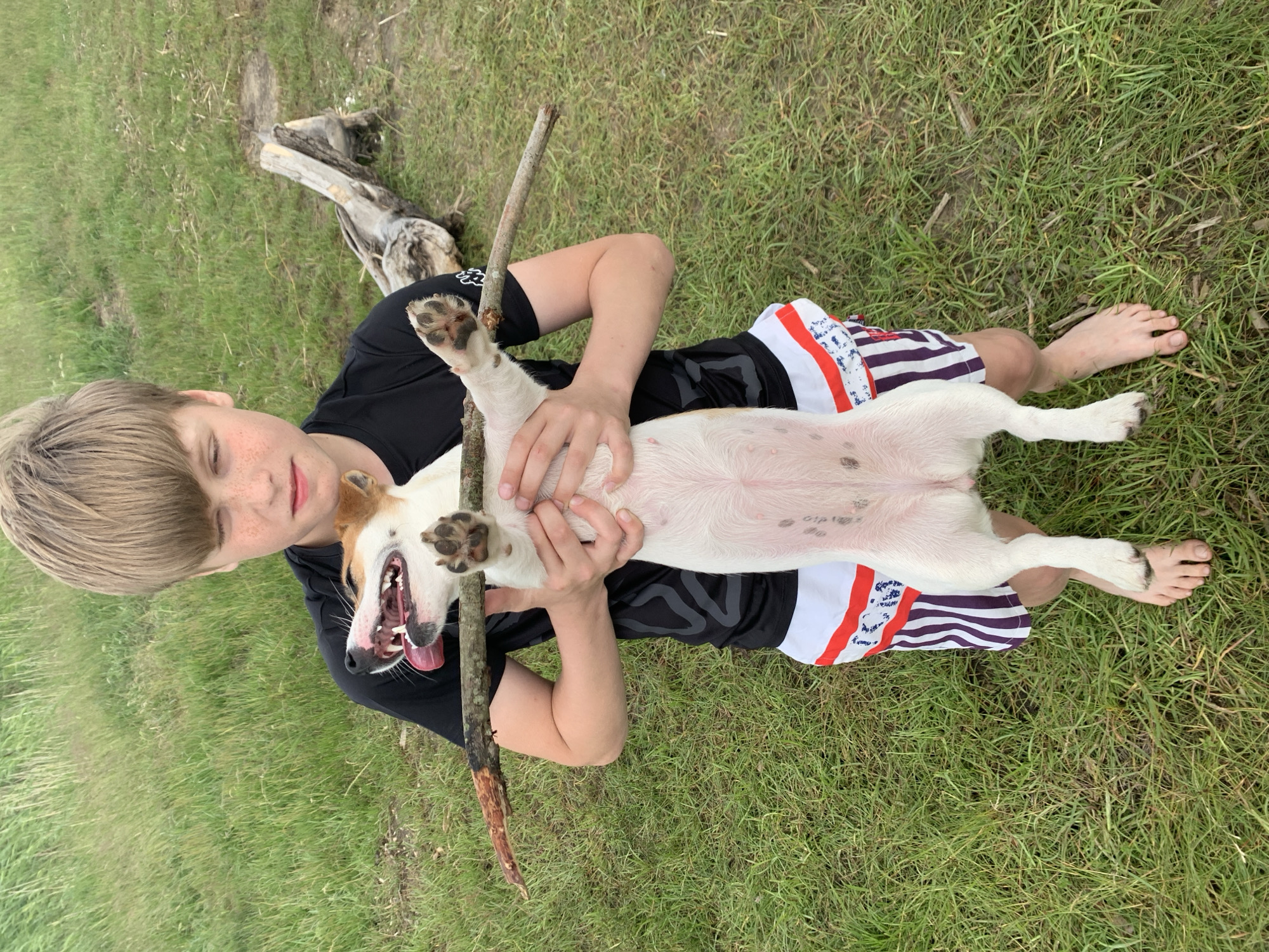 A young boy with light brown hair and freckles is holding a Jack Russell Terrier dog upside down. The boy is wearing a black t-shirt with a white pattern and striped shorts. The dog is white with brown markings on its head and ears. It has its tongue hanging out and its mouth open. A stick is held between the boy's hands and the dog's front paws. The background is a grassy field with a fallen log in the distance. The image appears to have been taken outdoors on a cloudy day. There are no discernable landmarks or features that would indicate the location is in Severodvinsk, Russia.