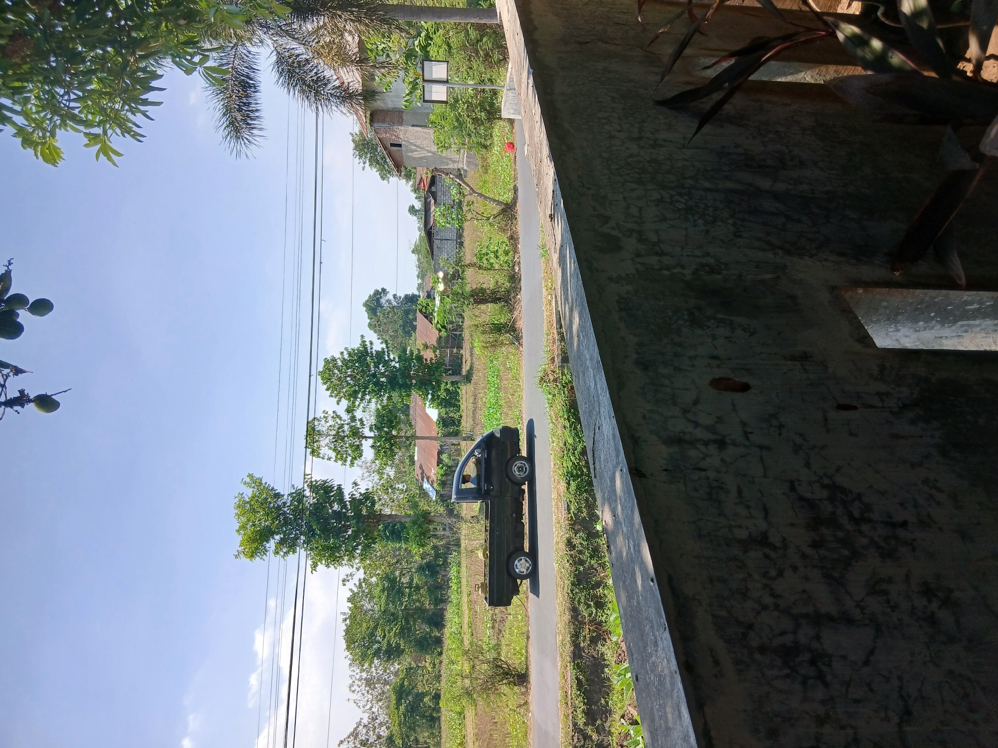 A black pickup truck with a driver is driving on a paved road in a rural area. The truck bed contains two green objects, possibly coconuts or gas canisters, and a yellow object, possibly another gas canister. The road is flanked by fields of dry vegetation and green plants, with trees and houses in the background. Power lines stretch across the sky. In the foreground, a textured concrete wall runs along the bottom of the frame, with some vegetation growing around it. The scene is illuminated by bright daylight, suggesting it is a sunny day. The location is identified as Sekarputih, Indonesia.