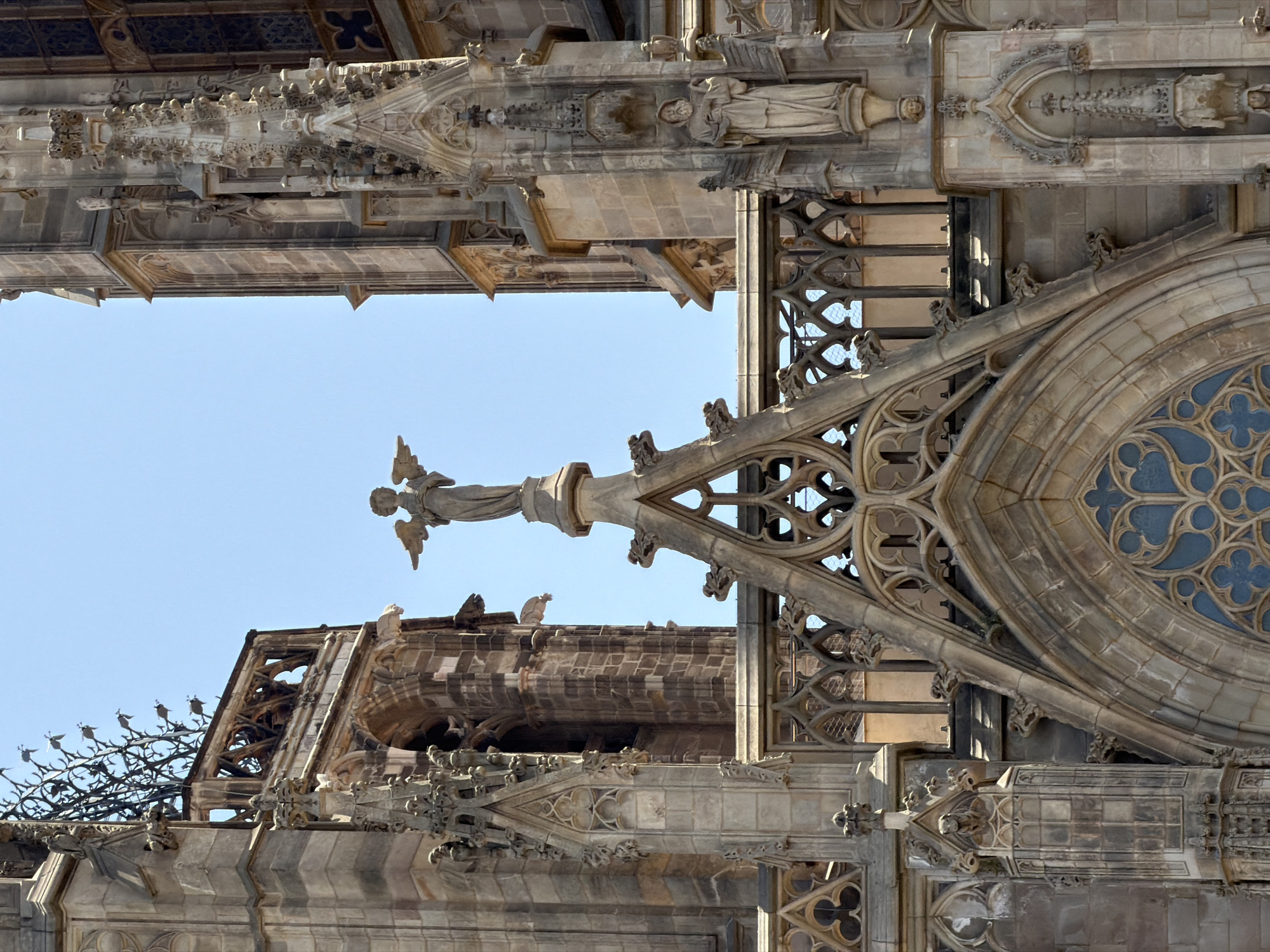 The image shows an exterior architectural detail of the Barcelona Cathedral, located in the Gothic Quarter of Barcelona, Spain. The focal point is a statue of an angel with outstretched wings, standing atop a pillar on the cathedral's facade. The angel is depicted in a classical style, with drapery and detailed wings. The surrounding architecture is characterized by Gothic elements, including pointed arches, intricate stonework, and decorative tracery. Gargoyles are visible on the building. The sky is clear and blue, suggesting a sunny day. The image is a medium shot, capturing a significant portion of the cathedral's upper structure.