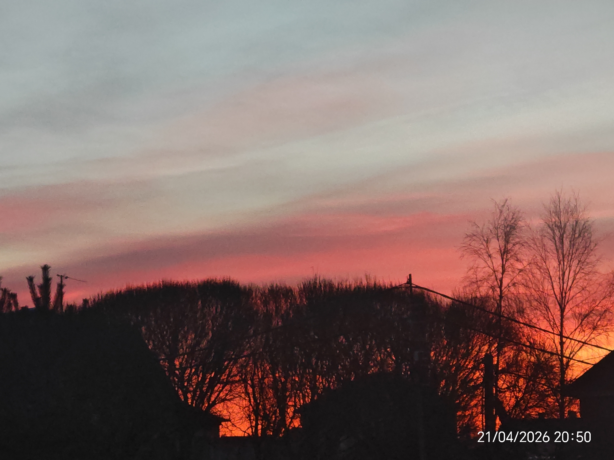 The image captures a vibrant sunset or dusk scene, with the sky displaying a dramatic gradient of colors. The upper portion of the sky is a soft light grey and pale blue, transitioning downwards into shades of pink, orange, and a deep, intense red near the horizon. Streaks of light clouds are visible across the sky.
In the foreground, the silhouettes of trees, rooftops, and what appear to be utility poles and wires are sharply outlined against the brightly colored sky. Many of the trees are bare-branched, suggesting late autumn, winter, or early spring. The structures and foliage are almost entirely in shadow, appearing black against the glowing backdrop, with some glimpses of the bright orange and red sky peeking through the tree branches. One specific tree on the far right has its branches clearly illuminated by the intense orange light.
No people are visible in the image. The setting appears to be a rural or suburban area, indicated by the presence of houses and dense tree lines.
A timestamp is present in the bottom right corner of the image, reading "21/04/2026 20:50," confirming the time of day as evening. The overall mood is serene and visually striking, highlighting the natural beauty of the sunset.