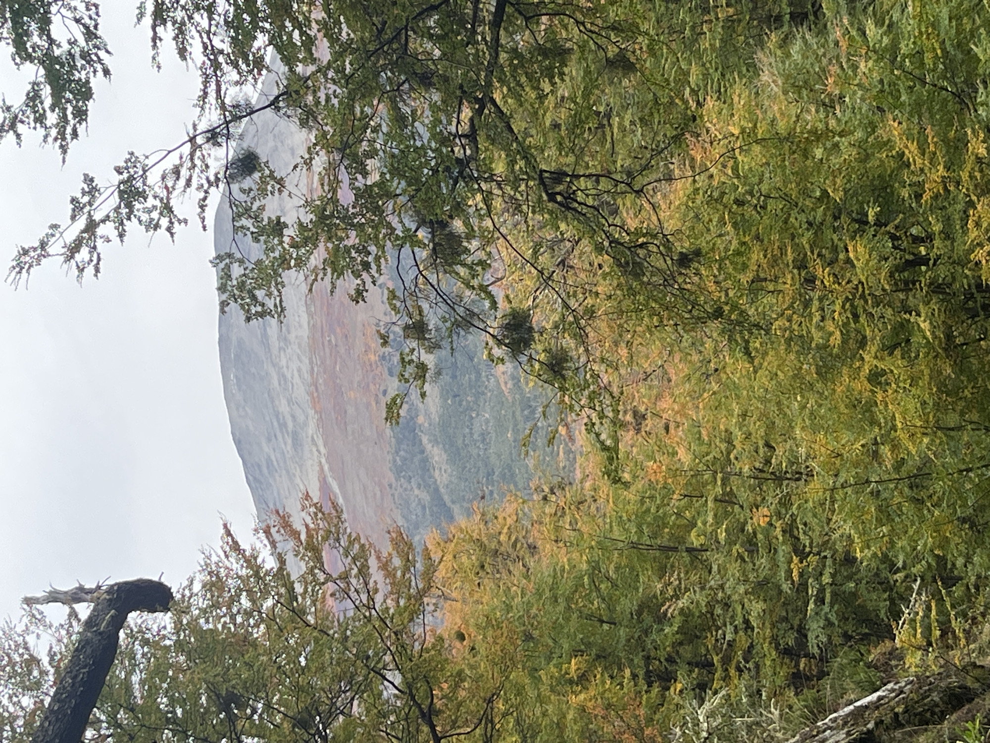 The image shows a mountain partially obscured by trees with autumn foliage. The mountain has a rocky face with areas of red and gray, potentially from minerals or vegetation. The foreground consists of trees with green and yellow leaves, indicating the change of seasons. The sky is overcast. The location is likely near Puerto Almanza, Argentina.