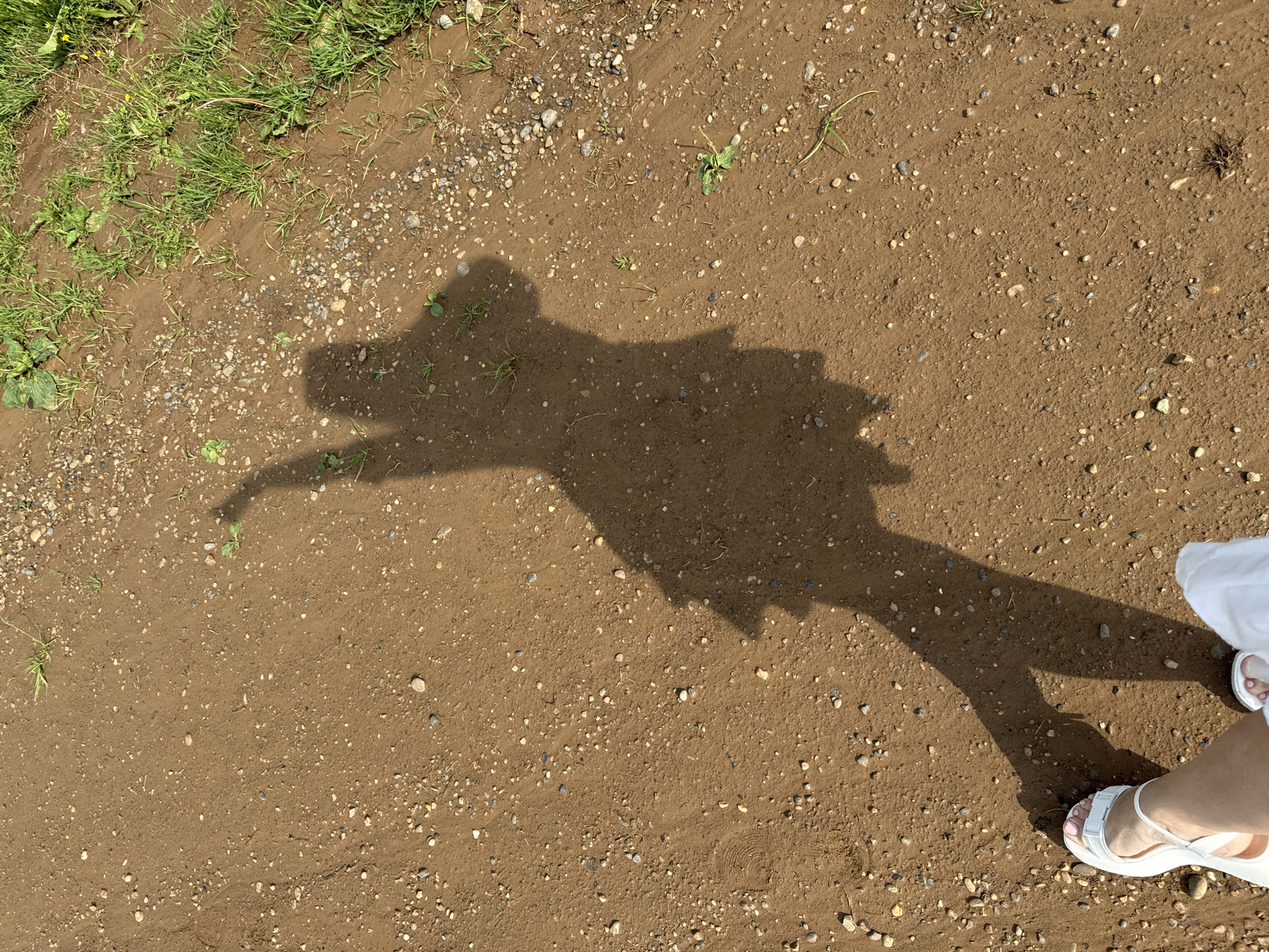 The image shows a shadow of a person on a dirt path with scattered rocks and sparse green grass on the right side. The person's shadow is elongated and appears to be in a playful pose, with one arm raised. The lower part of the image shows the person's legs and feet wearing white sandals, as well as the hem of a white garment. The scene is outdoors, likely in a rural or park-like setting. The location is specified as Van'ki, Russia.