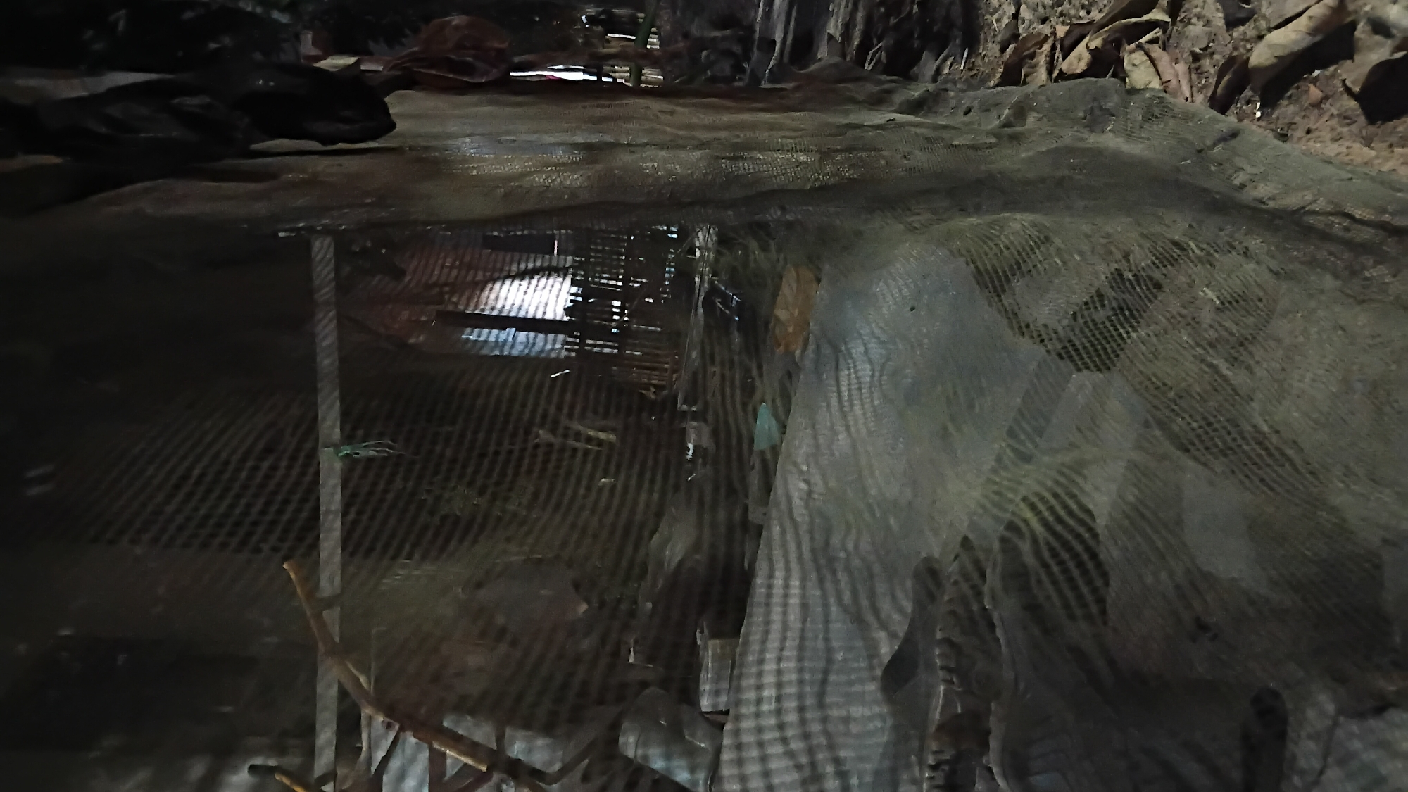 The image shows a dimly lit outdoor scene, possibly an area behind a building or a makeshift structure. A fine mesh netting is prominently featured, obscuring much of the background and creating a layered effect. The netting hangs loosely in some areas, while in others it appears stretched taut.
In the mid-ground, there is a collection of objects, including what appear to be pieces of wood or bamboo forming a rough structure. Some dark, fabric-like material is visible hanging from this structure. Behind this, a fence made of vertical wooden or bamboo poles is discernible, suggesting some form of enclosure or boundary. The ground is a mix of dirt and scattered dried leaves.
In the foreground, the netting covers a textured surface that reflects light unevenly, creating a mottled appearance. This surface could be a tarp, a large piece of fabric, or even a waterlogged area. The overall impression is one of a utilitarian or storage area, possibly in a residential or informal commercial setting within Prabumulih, Indonesia. The low lighting and the presence of netting suggest an attempt to control access, provide shade, or protect from insects. No individuals are visible in the scene.