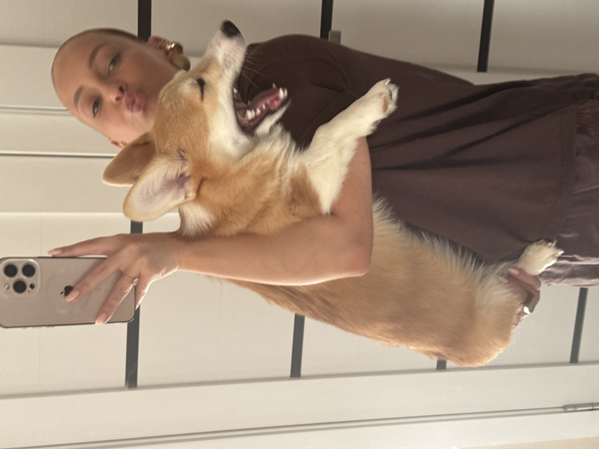 A young woman is holding a corgi dog, seemingly taking a selfie in front of what appears to be a set of blinds. The woman is pouting her lips towards the camera, while the dog's mouth is wide open as if yawning or barking. The woman is wearing a brown top, and her phone, which appears to be an iPhone, is visible in her left hand. The background consists of white blinds with black frames. The image's orientation suggests it might be a reflection in a mirror. The location in the city of Chaikovsky, Russia, is not evident from the image.
