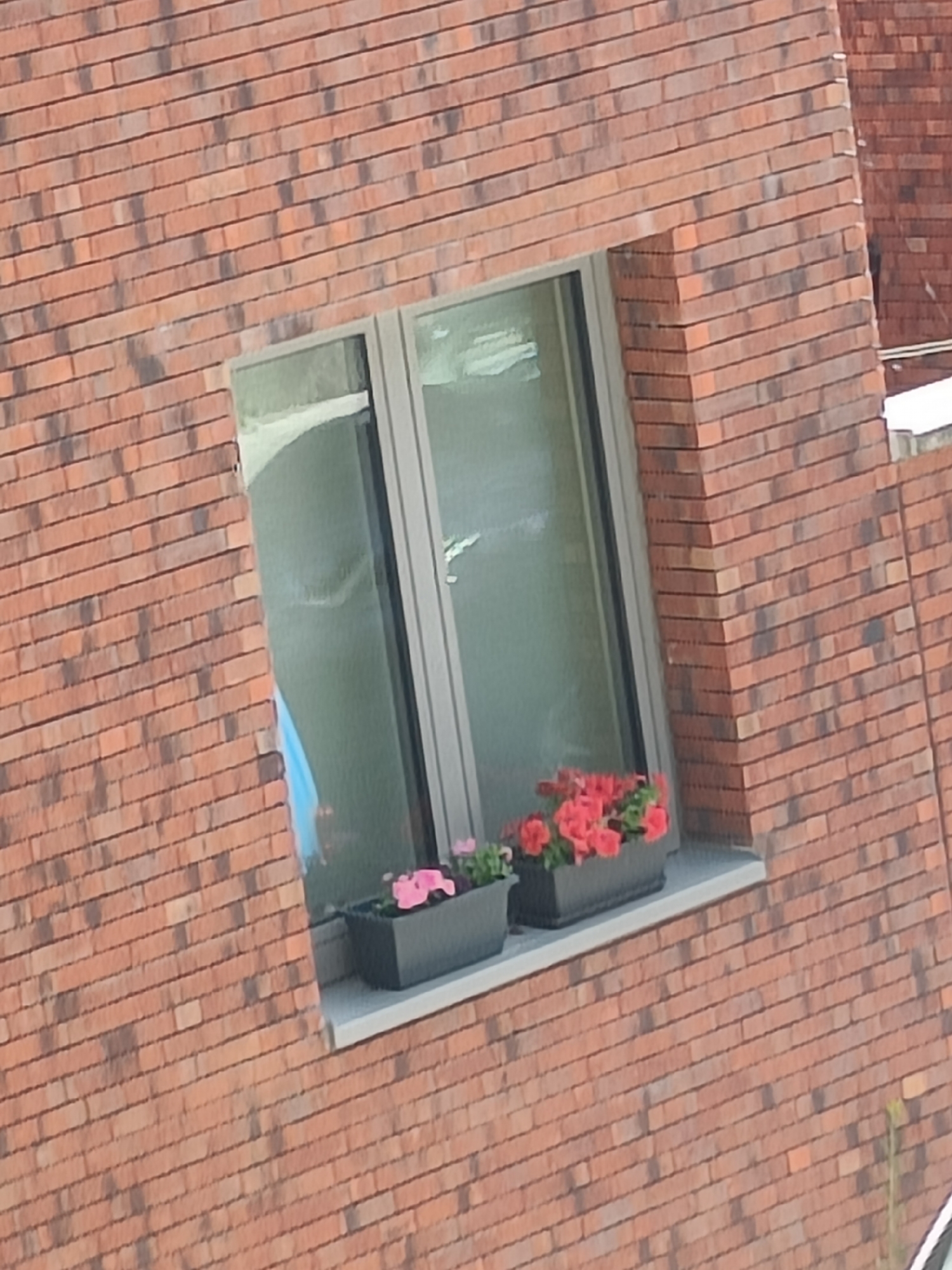 A low-angle, medium shot of a window on the exterior of a building. The building is constructed of red and brown brick. The window is divided into two vertical panes and set in a light grey frame. Two rectangular, dark grey planters sit on the windowsill. One contains pink flowers, and the other contains red flowers. A section of bright blue fabric can be seen through one pane of the window. The building is located in the city of Unknown, Unknown.