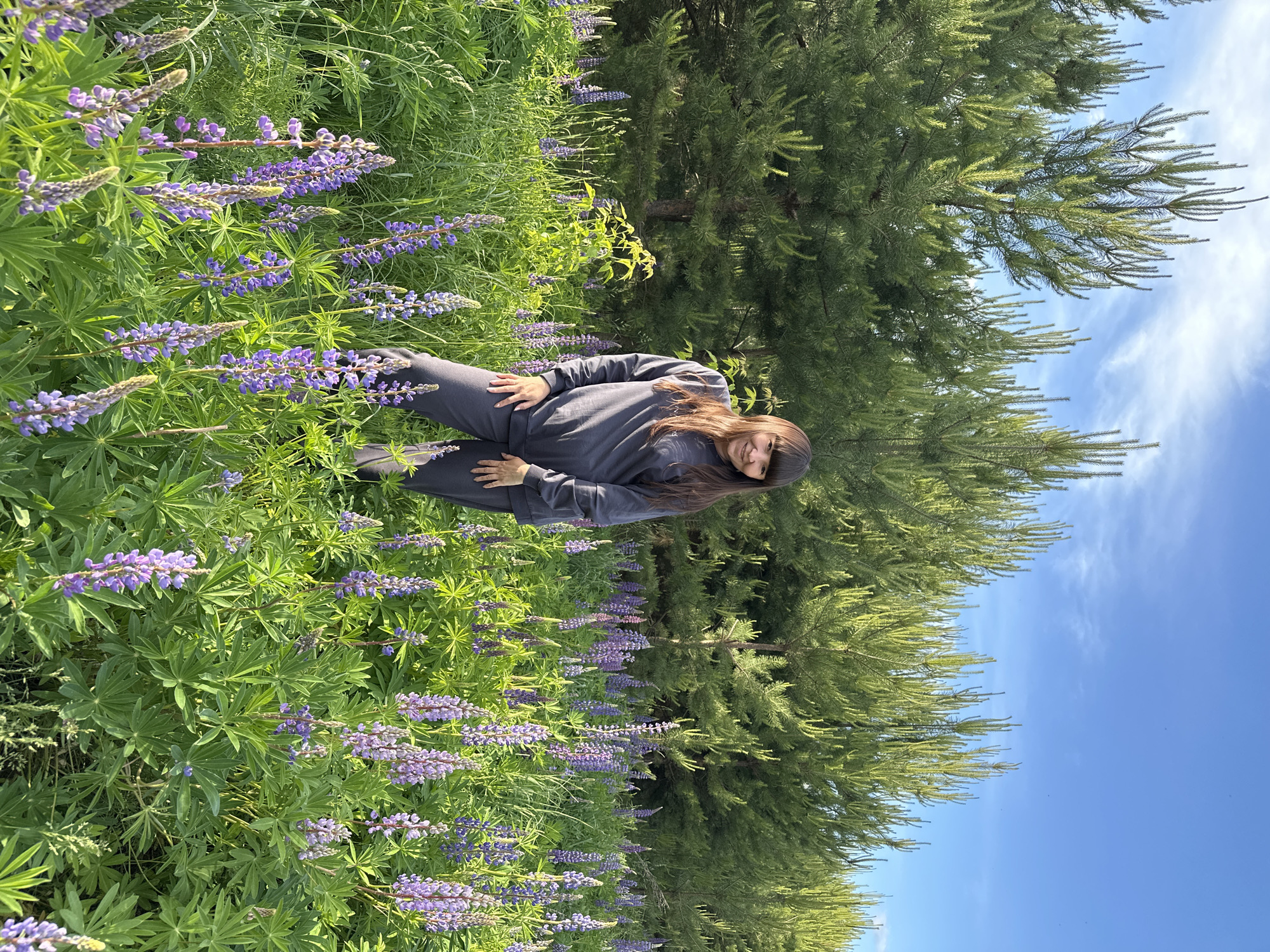 The image shows a woman kneeling in a field of purple lupine flowers. She is wearing a gray sweatsuit. Behind her are tall evergreen trees, and the sky is blue with some clouds. The image was taken in Chaikovsky, Russia.