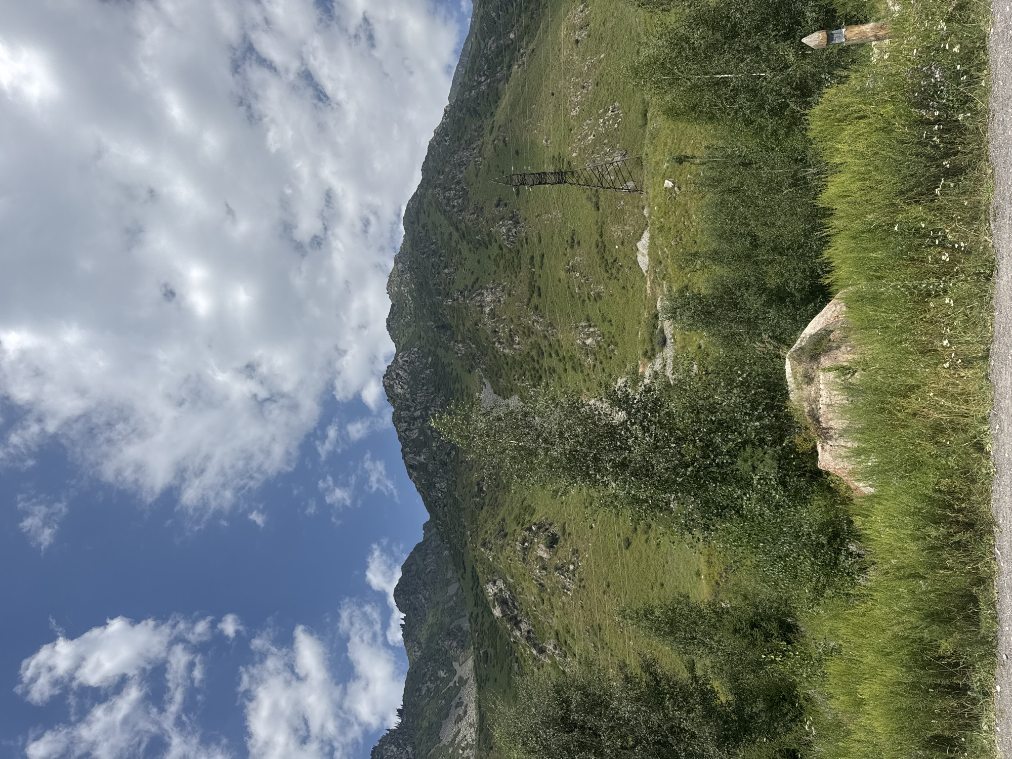 The image depicts a scenic mountain landscape under a partially cloudy blue sky. In the foreground, there is dense green grass and foliage, with a large rock visible on the left and a wooden post on the right. A cluster of trees stands behind the foreground vegetation. The mid-ground shows the green, undulating slopes of a mountain, dotted with rocks and sparse vegetation. A tall, lattice-like power pylon stands on the mountainside, with power lines stretching across the frame. The background features the rugged peaks of the mountains, with rocky outcrops and shadowed crevices. The overall impression is a natural, somewhat wild environment with signs of human infrastructure. The scene is likely located in the mountainous region surrounding Almaty, Kazakhstan, which is known for its picturesque natural beauty and proximity to urban areas.