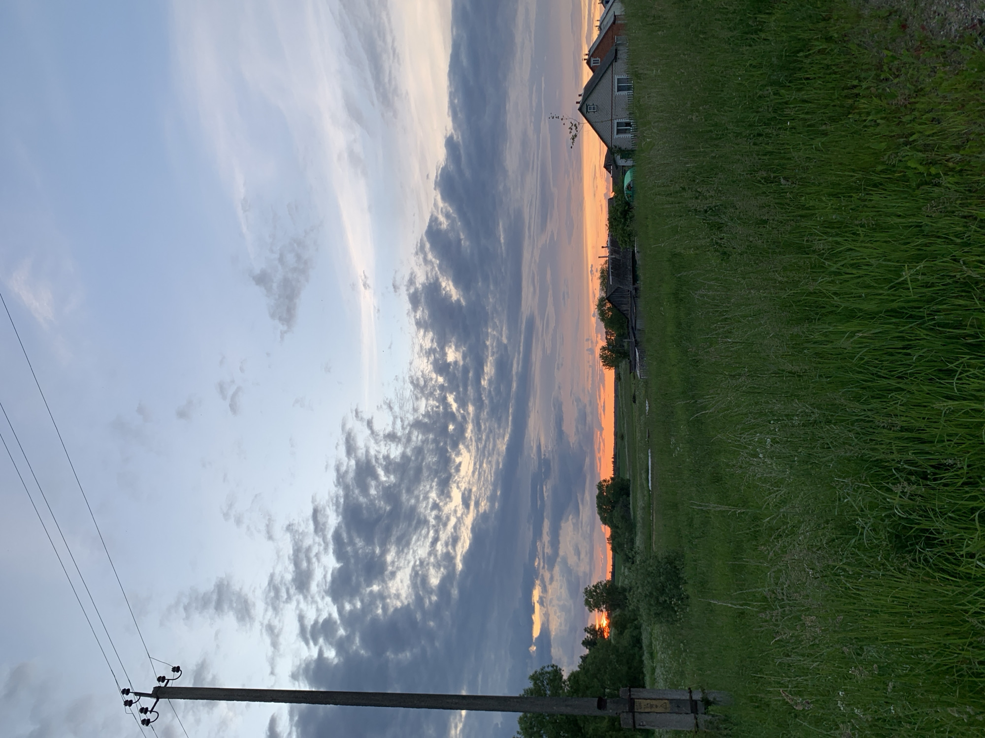 The image depicts a rural landscape at what appears to be sunset, located in Відзаўскі сельскі Савет, Belarus. The sky is partially covered with stratocumulus clouds, transitioning from light blue at the zenith to darker grey and purple tones, with a prominent band of orange and red light along the horizon. In the foreground, tall, lush green grass occupies the lower third of the frame. A weathered concrete utility pole with multiple power lines extends vertically along the left side of the image, showing insulators and attachments.
In the midground, beyond the tall grass, lies an expansive green field with scattered trees and shrubs. To the far left, a dense line of trees conceals the setting sun, which casts an intense orange glow visible between and above the foliage. Further to the right in the midground, glimpses of what might be a water body or damp ground are visible within the field.
In the background, a small cluster of residential buildings with pitched roofs is discernible. One prominent light-colored house with multiple windows is visible on the right side, flanked by older, darker wooden structures. No individuals, animals, or vehicles are present within the frame. The overall impression is one of a serene, undeveloped countryside environment at dusk.