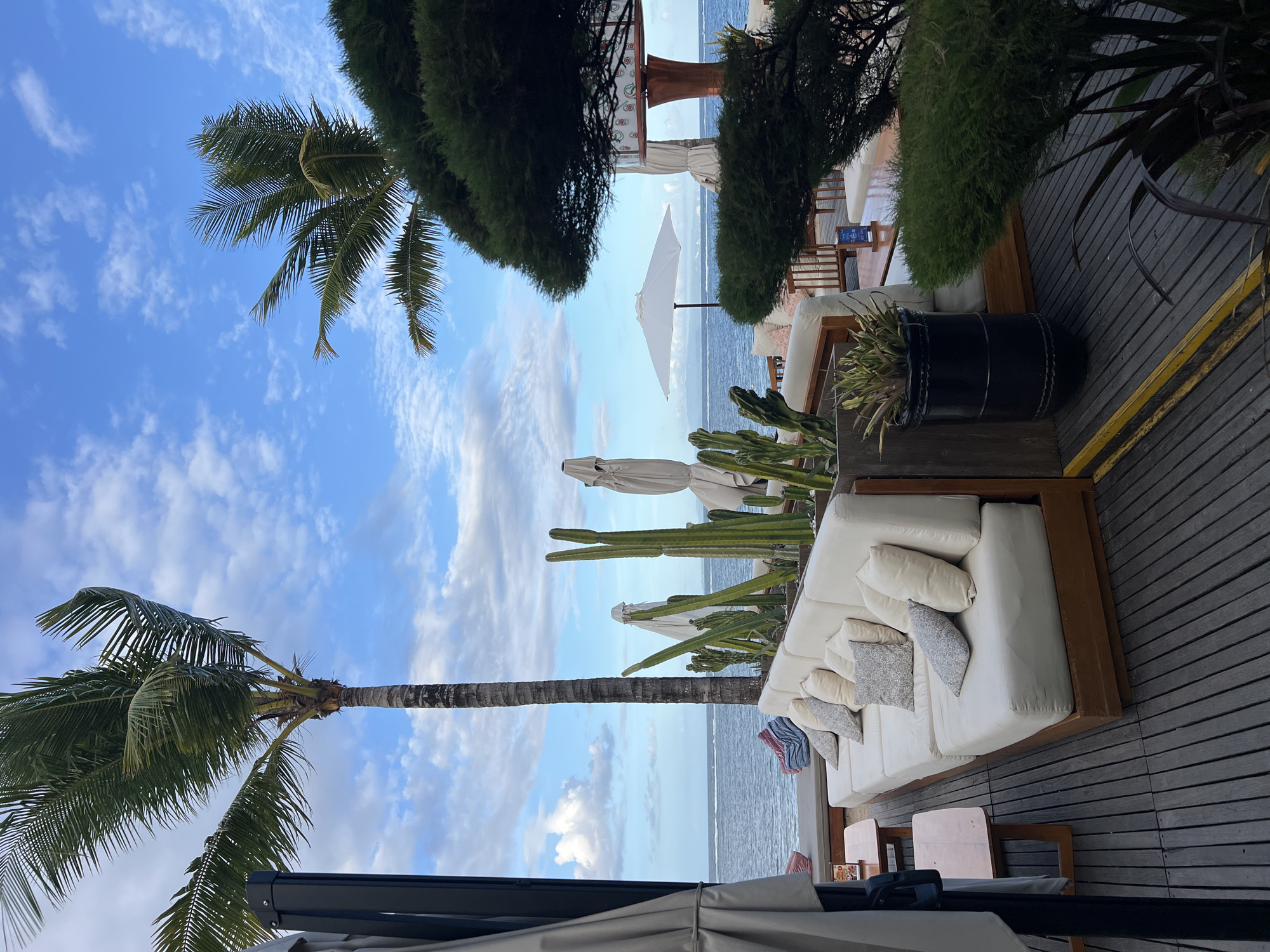 This photo captures a tranquil outdoor setting in Denpasar, Indonesia. The scene is dominated by a wooden deck with a long white sofa adorned with pillows, creating a lounge area. Tall cacti provide a natural screen, and potted plants add to the tropical ambiance. In the background, the ocean meets a sky with scattered clouds, framing white umbrellas. Palm trees are visible, contributing to the coastal atmosphere. The photo appears to be taken from an elevated position, with partial views of the deck's edge and roof.