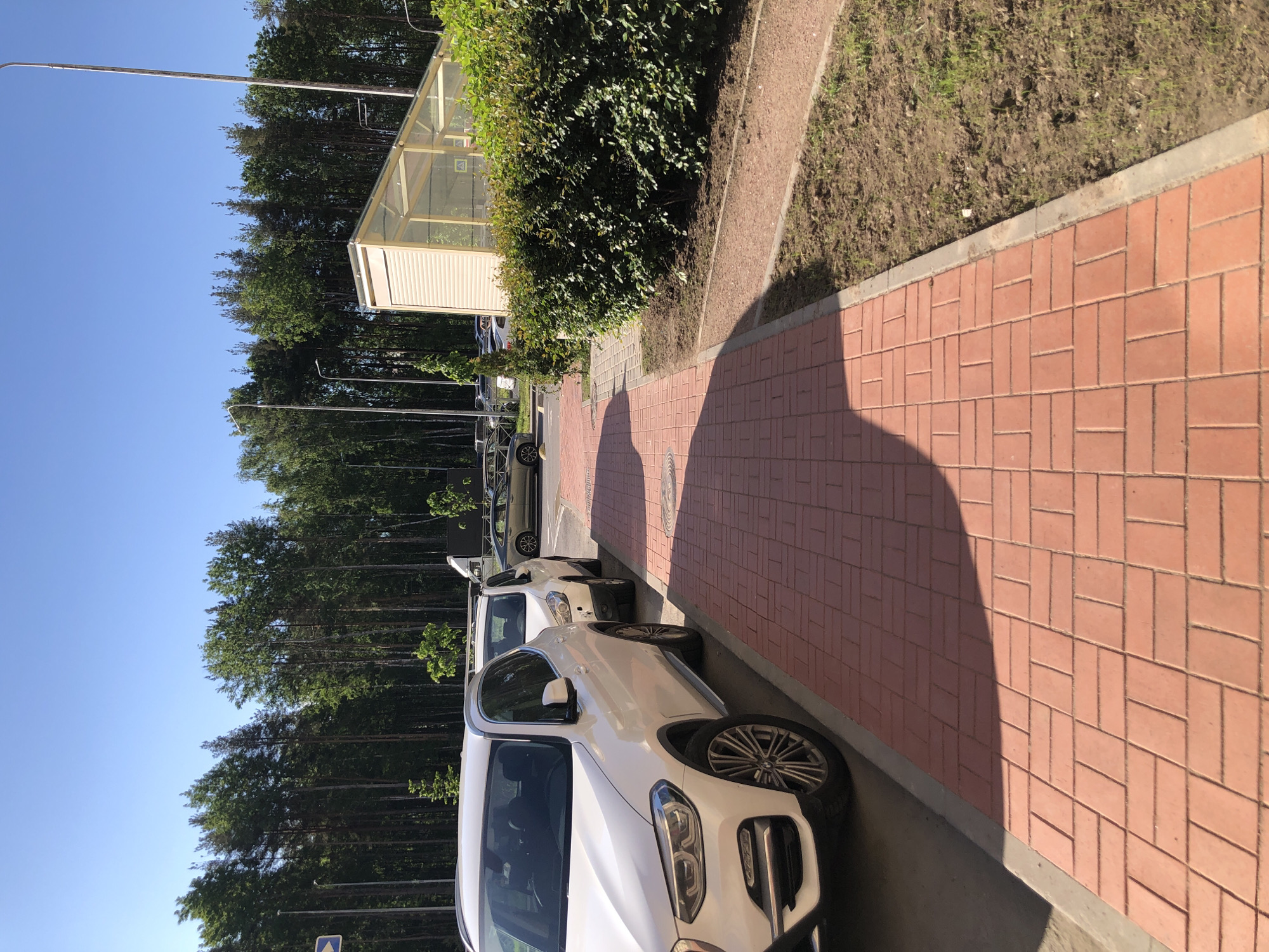 This image, likely captured in Saint Petersburg, Russia, depicts a sunny outdoor scene featuring a row of parked cars alongside a brick pedestrian pathway, bordered by dense greenery and trees.
In the foreground, several vehicles are parked. The most prominent is a white SUV, possibly a BMW, facing right, showcasing its intricate wheel design and front headlights. Other cars are visible further down the parking lot. Adjacent to the parking area is a reddish-brown brick-paved walkway, characterized by a repeating rectangular pattern. Long, sharp shadows stretch across this pathway, indicating that the sun is low in the sky, suggesting either an early morning or late afternoon setting.
Separating the walkway from a lush natural barrier is a narrow strip of uneven ground with sparse vegetation. Beyond this, a thick, vibrant line of green bushes forms a continuous hedge. Behind the bushes, a dense forest of tall, slender evergreen trees rises, creating a deep green backdrop against the clear blue sky. A modern-looking structure with a light-colored base and a translucent roof, possibly a bus stop or shelter, is partially visible amongst the trees. Several tall street light poles are also scattered throughout the scene.
The weather is bright and clear, with a vast expanse of unclouded blue sky dominating the upper portion of the frame. There is no discernible human activity or visible text in the image; it presents a serene snapshot of an urban edge bordering a natural environment.
