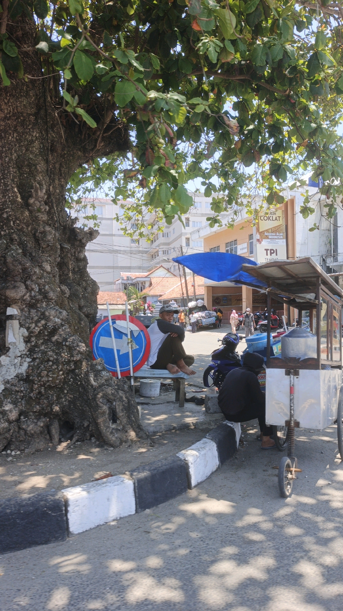 The image depicts a street scene in Desa Pagandaran, Indonesia. In the foreground, a large tree with rough bark stands to the left, casting dappled shadows across the asphalt road and a concrete curb painted with alternating black and white blocks. A man wearing a baseball cap and a long-sleeved shirt with white and black sleeves, and dark pants, sits barefoot on a bench under the tree. He is looking towards his left. Beside him, a blue and white circular traffic sign with two white arrows pointing in different directions is propped up.
To the right of the bench, a food cart with a blue tarp canopy is positioned on the side of the road. Two individuals are seated near the cart, one wearing a black hooded jacket and dark pants, the other is partially obscured but appears to be wearing dark clothing. The cart has metal containers and wheels.
In the background, several buildings are visible. A prominent building has an orange facade with text that includes "TEMU," "TPI," and "COKLAT." Other buildings appear to be residential or commercial, with tiled roofs and multiple stories. Several motorcycles are parked or in motion on the street. Other people are visible walking in the background, near a small cart laden with goods. The sky is clear and blue, indicating a sunny day. The overall scene suggests a bustling local area with daily activities taking place.