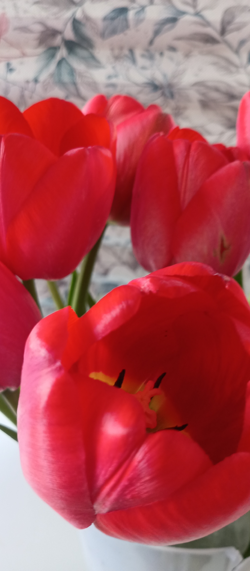 The image shows a close-up of several red tulips. The background is blurred, but appears to be a wall with a floral pattern. The closest tulip is open, revealing yellow and black stamen inside. The other tulips are in various stages of bloom. The location is unknown.