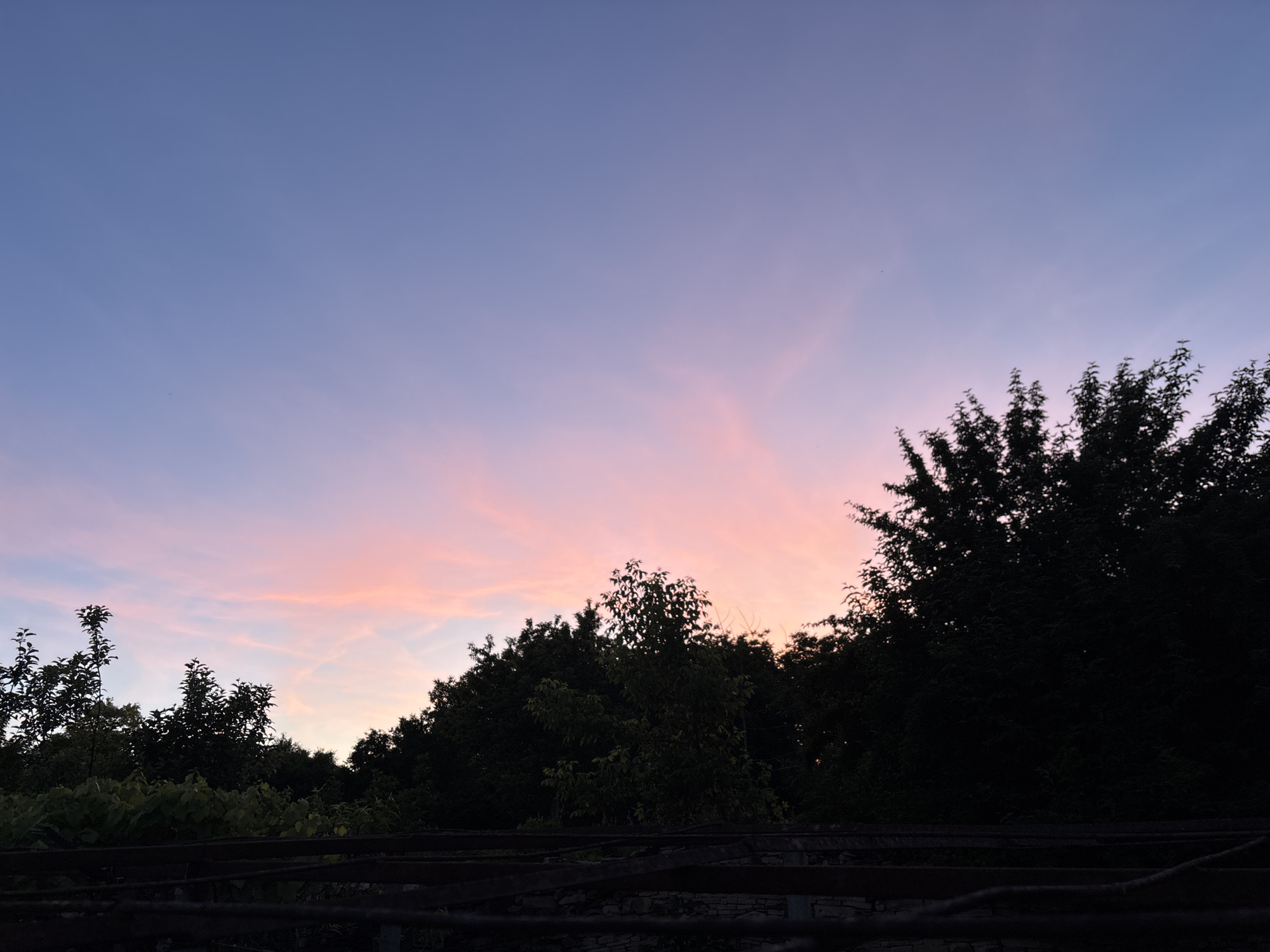 The image shows a dusk or twilight sky with a gradient of blue at the top transitioning into pink and orange hues near the horizon. Silhouetted trees are visible along the bottom of the frame, with the darkness of the trees contrasting against the colorful sky. In the very bottom, some indistinct structures can be seen. The location is Gorna Lipnitsa, Bulgaria.