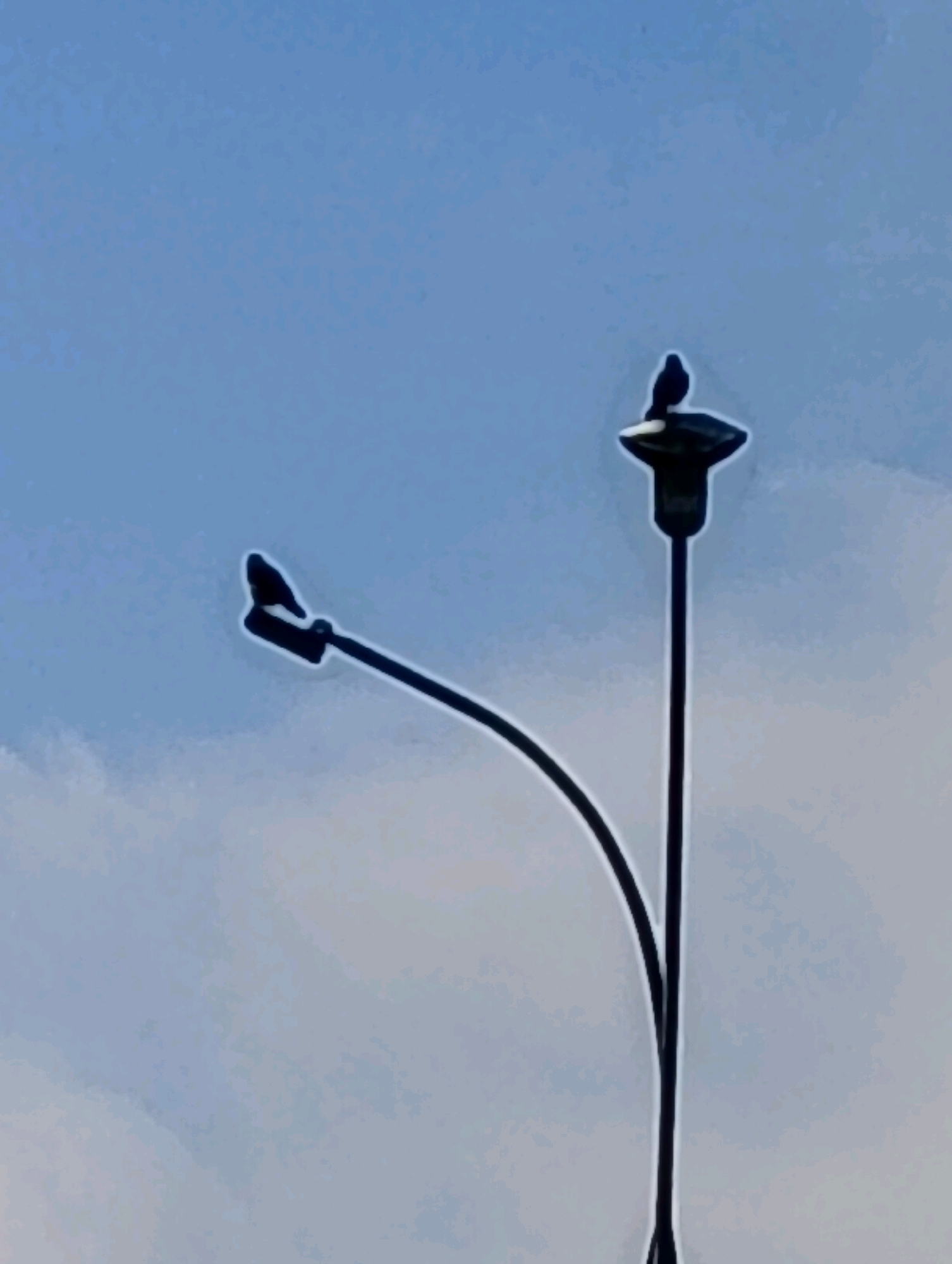 Two small dark birds are perched on a street lamp against a bright blue sky with faint white clouds. One bird is on the top fixture of the lamp, facing to the left. The other bird is on the curved arm of the lamp, also facing to the left, and appears slightly smaller. The street lamp is dark and silhouetted against the sky. The image is taken from a low angle looking up at the lamp. The scene is serene and common in urban environments. The specific location in Hrodna, Belarus cannot be determined from the image alone.