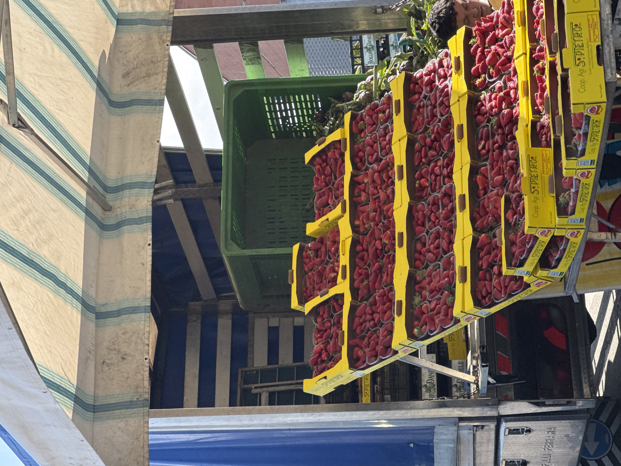 Here is a detailed description of the image:
The image appears to be taken at a market stall in Nettuno, Italy, given the Italian text and the overall atmosphere. The orientation of the image is rotated. The dominant elements are crates and containers of fresh strawberries for sale.
The strawberries are packed in yellow cardboard boxes labeled "Coop. Agr. S. PIETRO", indicating the cooperative farm. These boxes are stacked on what appears to be a vehicle or a market stall's display shelf. A green plastic crate sits among the boxes.
In the background, one can see a person. Also visible is a striped awning, suggesting the stall is part of a larger market area. Metal framing elements indicate the structure of the stall or vehicle. There is a sign visible that reads, "F.LLI FERRARA." Some labels are "IRE DANI," "BOLLIR DANIEL," and "ELE."