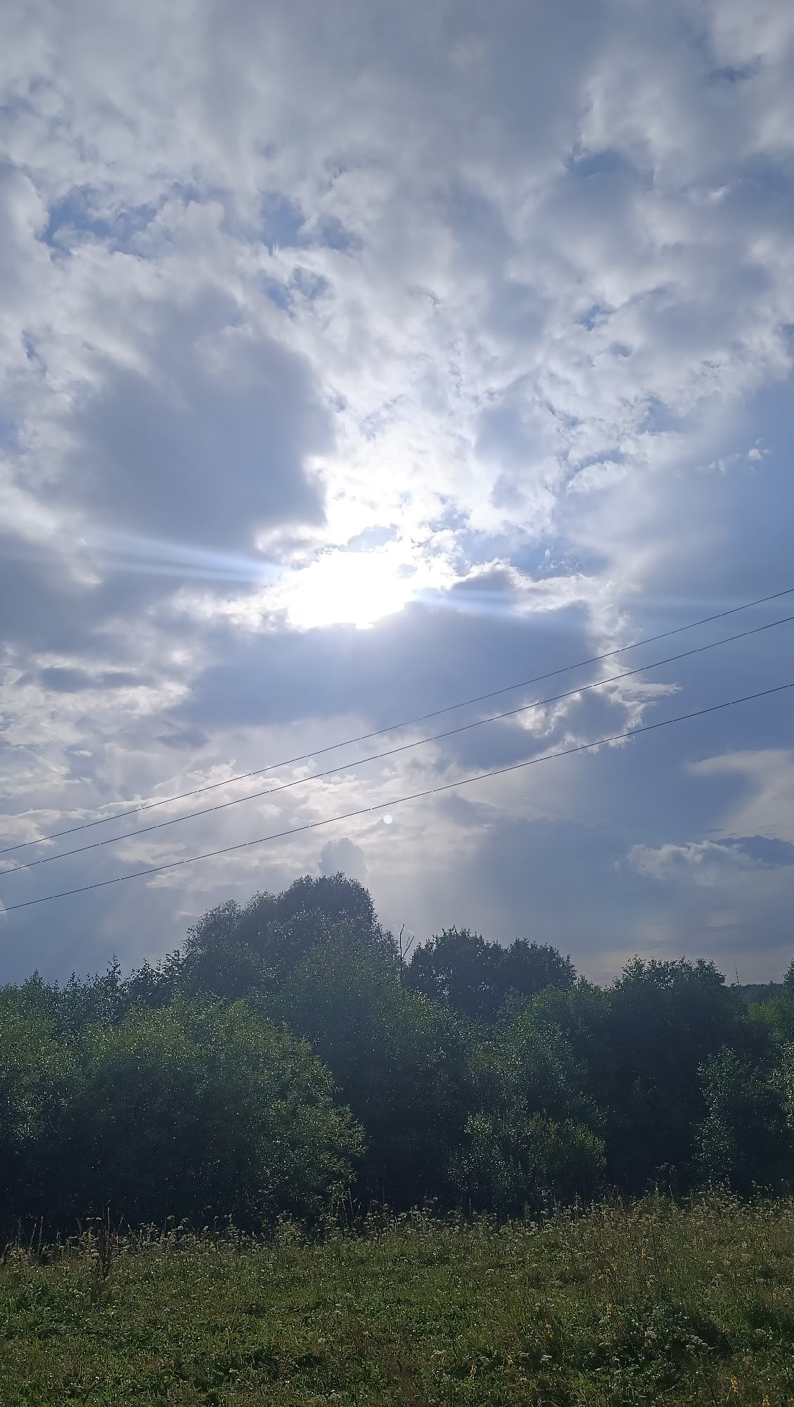 A vertical, eye-level shot captures a wide expanse of sky, dotted with fluffy, gray clouds. Sunlight pierces through a gap in the clouds, creating bright rays that streak across the sky. Below the sky, a dense line of lush, green trees forms a dark silhouette against the lighter background. In the foreground, a field of tall, green grass, interspersed with white wildflowers, stretches across the lower part of the frame. Three parallel power lines are visible horizontally across the middle of the image, running from left to right. The scene appears to be an outdoor, natural environment.