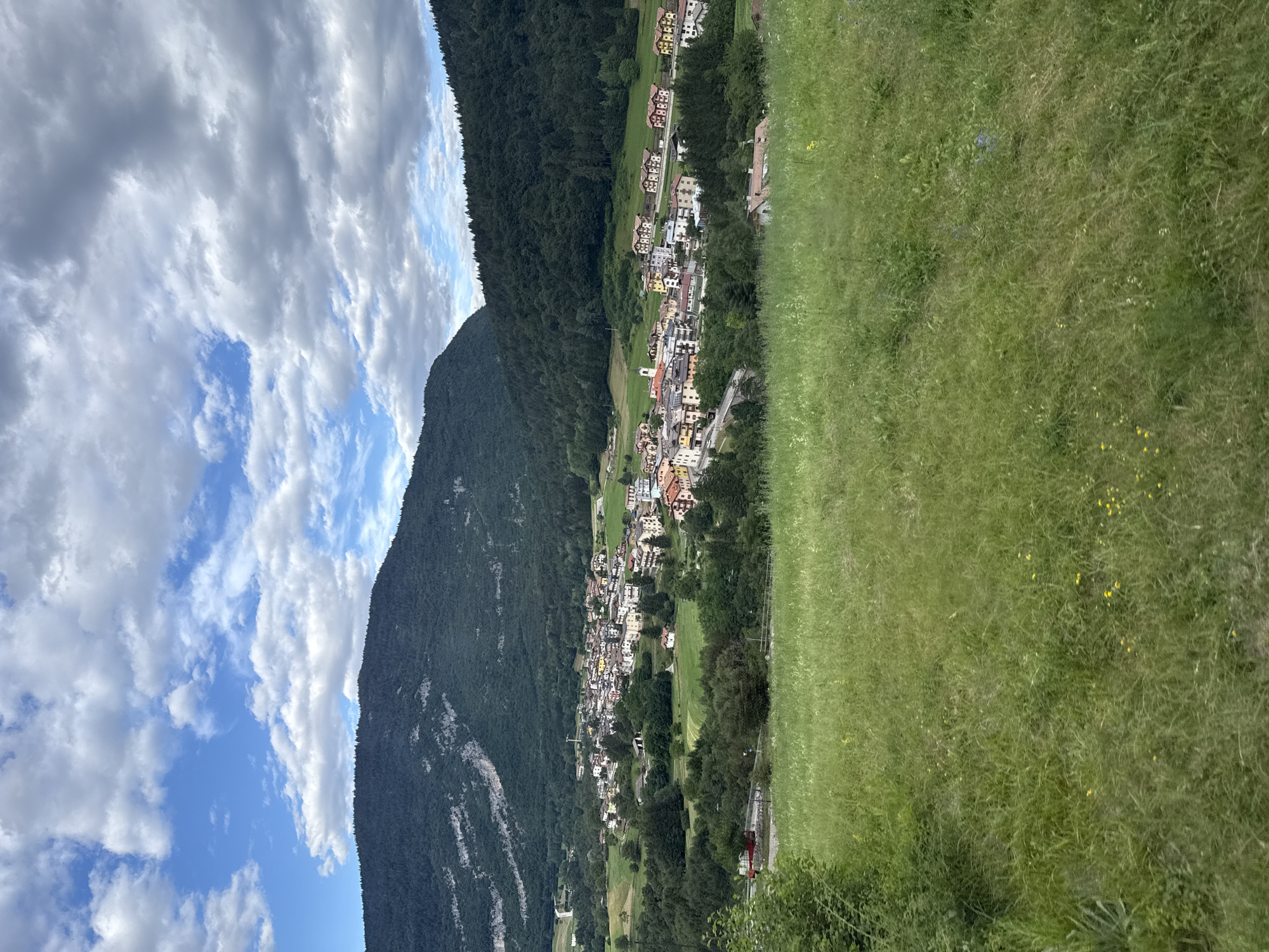 The image is a landscape view of the town of Cavedago, Italy, set against a backdrop of lush green mountains. In the foreground, a grassy hill slopes downwards, dotted with wildflowers. The mid-ground features a cluster of buildings, characteristic of a small Italian village, with colorful rooftops and varying architectural styles. Some of the buildings appear to be residential homes, while others may be commercial establishments. A winding road is visible, leading through the town and connecting it to the surrounding areas. The background is dominated by the imposing presence of the mountains, covered in dense green vegetation. The sky above is a mix of blue and white clouds, suggesting a partly cloudy day. The overall impression is one of a serene and picturesque rural setting in the Italian countryside.