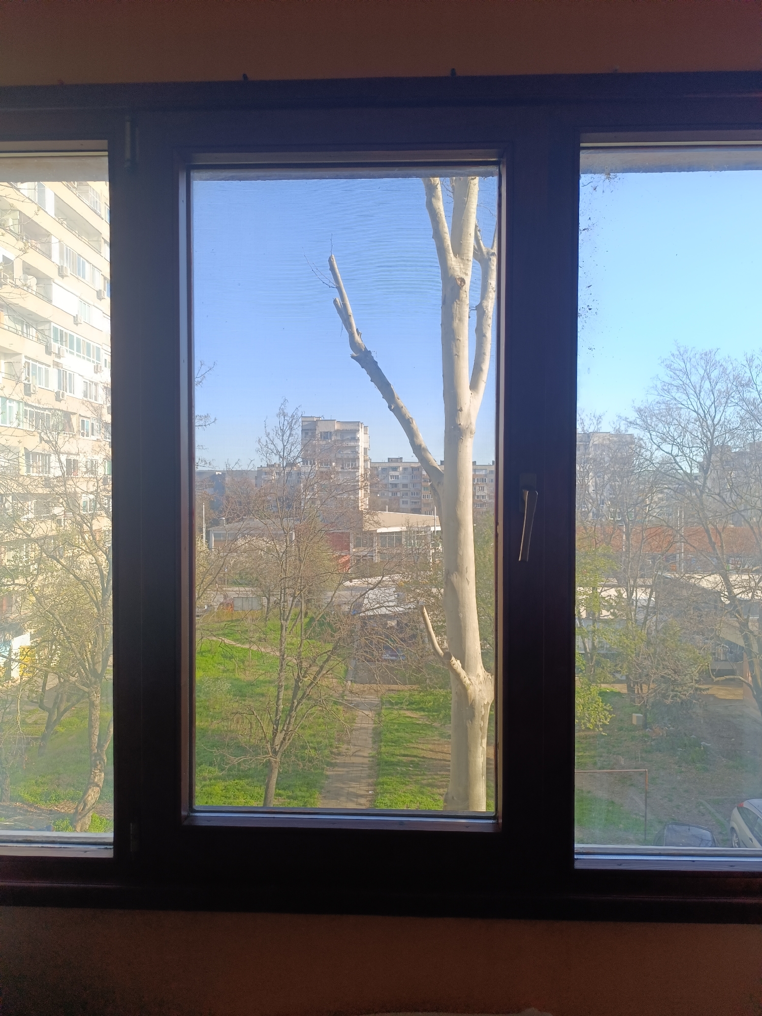 Here is a description of the image:
The image depicts a view from a window, likely in an urban setting. The window is divided into three panes, with dark brown frames. The view outside shows a mix of buildings, trees, and green spaces.
Through the left pane, a tall apartment building with numerous windows and air conditioning units is visible. The middle pane is obstructed by a large, bare tree trunk close to the window, but a path and more buildings can be seen in the background. The right pane shows a park or garden with trees and some parked cars.
The sky is clear and blue, suggesting a sunny day. The scene is static and there are no people visible. The location is Unknown, Unknown.