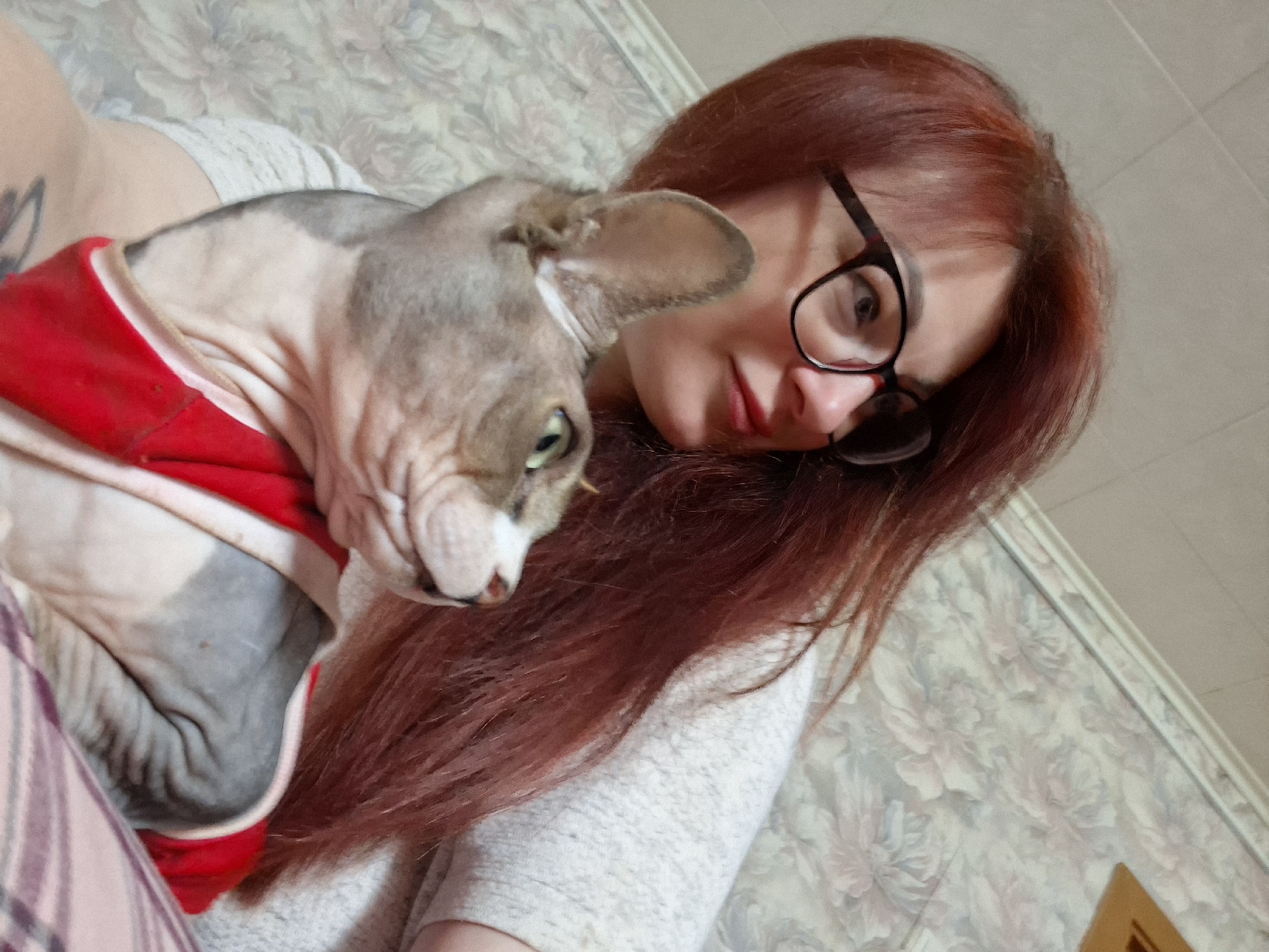 A woman with auburn hair and black-rimmed glasses is holding a sphynx cat. The cat is grey and white, wearing a red garment. The woman is wearing a light-colored sweater. They are indoors, with a floral-patterned wallpaper visible in the background. The scene appears to be a domestic setting, possibly a home, in the village of Забалоцкі сельскі Савет, Belarus.