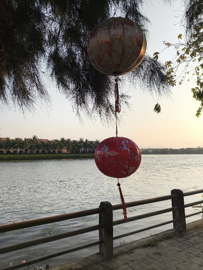 This image depicts a tranquil riverbank scene in Đà Nẵng, Vietnam, at what appears to be late afternoon or early evening.
The foreground features a paved walkway on the right, bordered by a dark-colored metal railing with concrete posts separating it from the water. A body of water, likely a river, occupies the mid-ground, showing gentle surface ripples and reflections of the sky.
On the opposite bank, a continuous line of buildings with distinctive orange-tiled roofs is visible, interspersed with numerous palm trees. Further in the distance, a faint outline of mountains or hills can be discerned against the horizon.
The sky exhibits a clear gradient, transitioning from a light blue directly overhead to a warm yellowish-orange closer to the horizon, indicating the time of day.
Dominating the upper portion of the frame is dark, needle-like foliage from a tree, with some lighter green leaves from another tree on the upper right. Suspended from these tree branches are two spherical, traditional Vietnamese lanterns by red cords. The upper lantern is lighter in color, possibly off-white or beige, with reddish-orange patterns that appear to be fish or koi motifs. A red tassel hangs from its bottom. The lower lantern is predominantly red with lighter patterns depicting flying cranes and floral designs, also featuring a red tassel.
No individuals or active interactions are present in the scene.