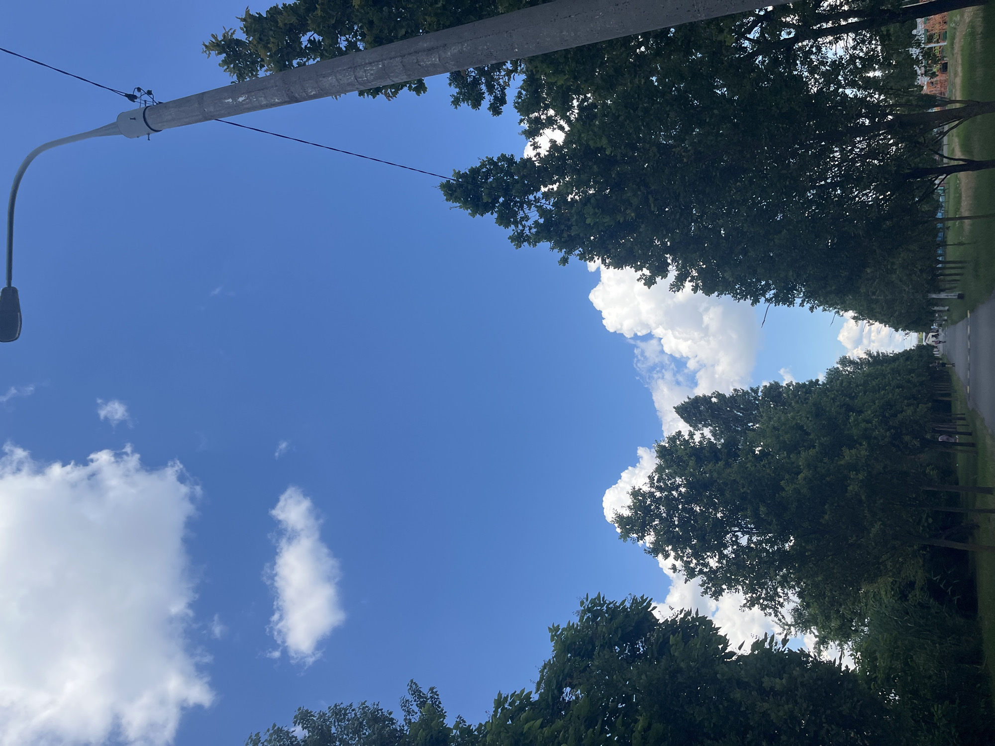 The image is a low-angle shot looking up at a bright blue sky with scattered white clouds. A grey utility pole with a curved arm extending to the left, holding a dark grey streetlamp, dominates the upper left portion of the frame. Wires are strung between the pole and out of frame. The tops of lush green trees line the right side of the image, forming a canopy that partially obscures the sky. The trees appear to be mature and are densely packed, suggesting a park or a tree-lined street. To the far right, a paved road or path is visible, with some indistinct figures walking or standing along its edge. The lighting suggests it is daytime, likely late morning or afternoon, with clear weather conditions. The overall impression is one of a pleasant outdoor environment, possibly a park or a quiet street in a suburban or urban area. No text is visible in the image. The location context of Krasnodar, Russia, does not provide specific visual cues within the image itself.