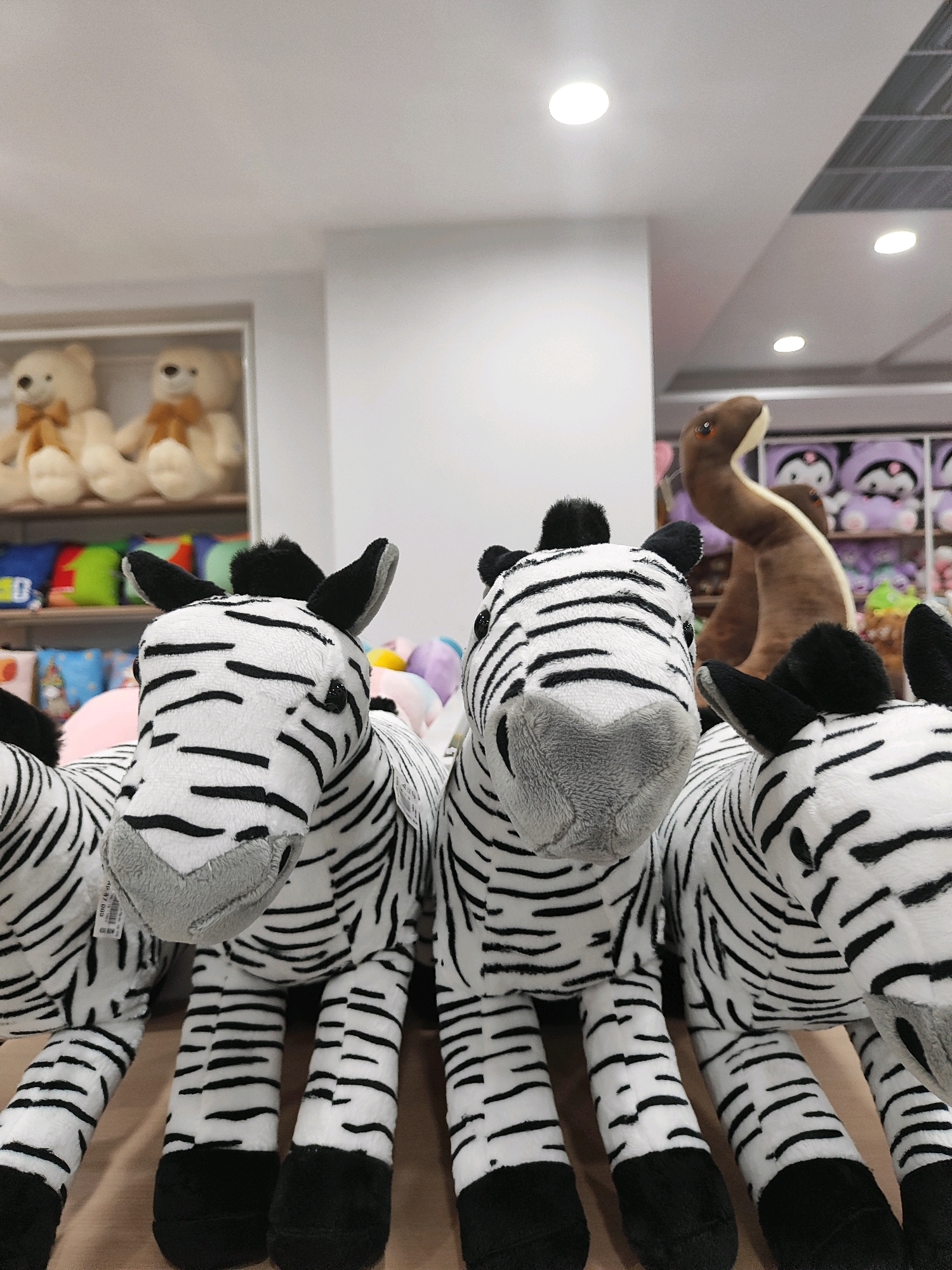 The image shows a retail store interior, likely a toy store. In the foreground, three plush zebra toys are arranged in a row, facing the camera. The zebra on the left is mostly visible, while the middle zebra is largely obscured by the one on the left. The zebra on the right is also partially visible, with its head out of frame. The toys are black and white striped with gray muzzles and black ears.
In the middle ground, a brown plush toy resembling a dinosaur or a long-necked creature is standing, with its head tilted to the right. Behind the zebras, on shelves, are various other plush toys, including teddy bears with bows and other colorful stuffed animals. The shelves are organized and well-lit, suggesting a retail environment.
The ceiling of the store is visible in the background, with recessed lighting fixtures. The overall impression is of a clean and well-stocked toy store. There are no people visible in the image. The location of Sukowiryo, Indonesia is not identifiable from the visual cues in the image.