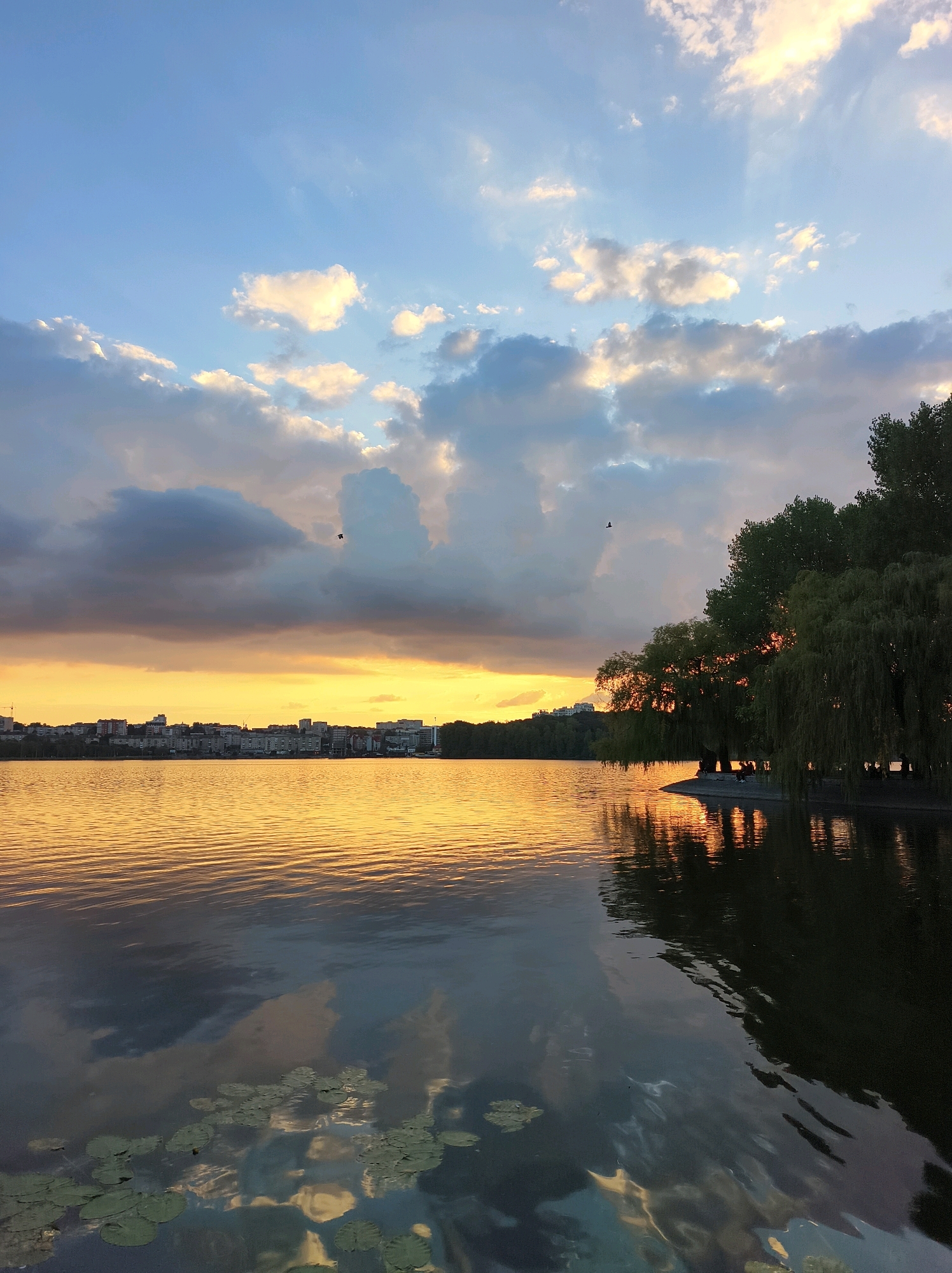 The image depicts a serene sunset scene over a body of water, likely Ternopil Lake in Ternopil, Ukraine. A line of buildings is visible on the far shore, silhouetted against the warm orange glow of the setting sun. The sky is a gradient of blue, with scattered clouds catching the last rays of sunlight, creating a dramatic contrast with the darker clouds. The water reflects the sky and the surrounding trees, creating a mirror-like effect. Several water lilies are scattered on the surface of the water in the foreground. On the right side of the image, a dense cluster of trees, including weeping willows, lines the shore. A small pavilion or gazebo is visible under the trees, and a few individuals are seated nearby, suggesting a public park or recreational area. Two birds are captured in flight against the expansive sky. The overall atmosphere is peaceful and picturesque, characteristic of a late summer or early autumn evening.