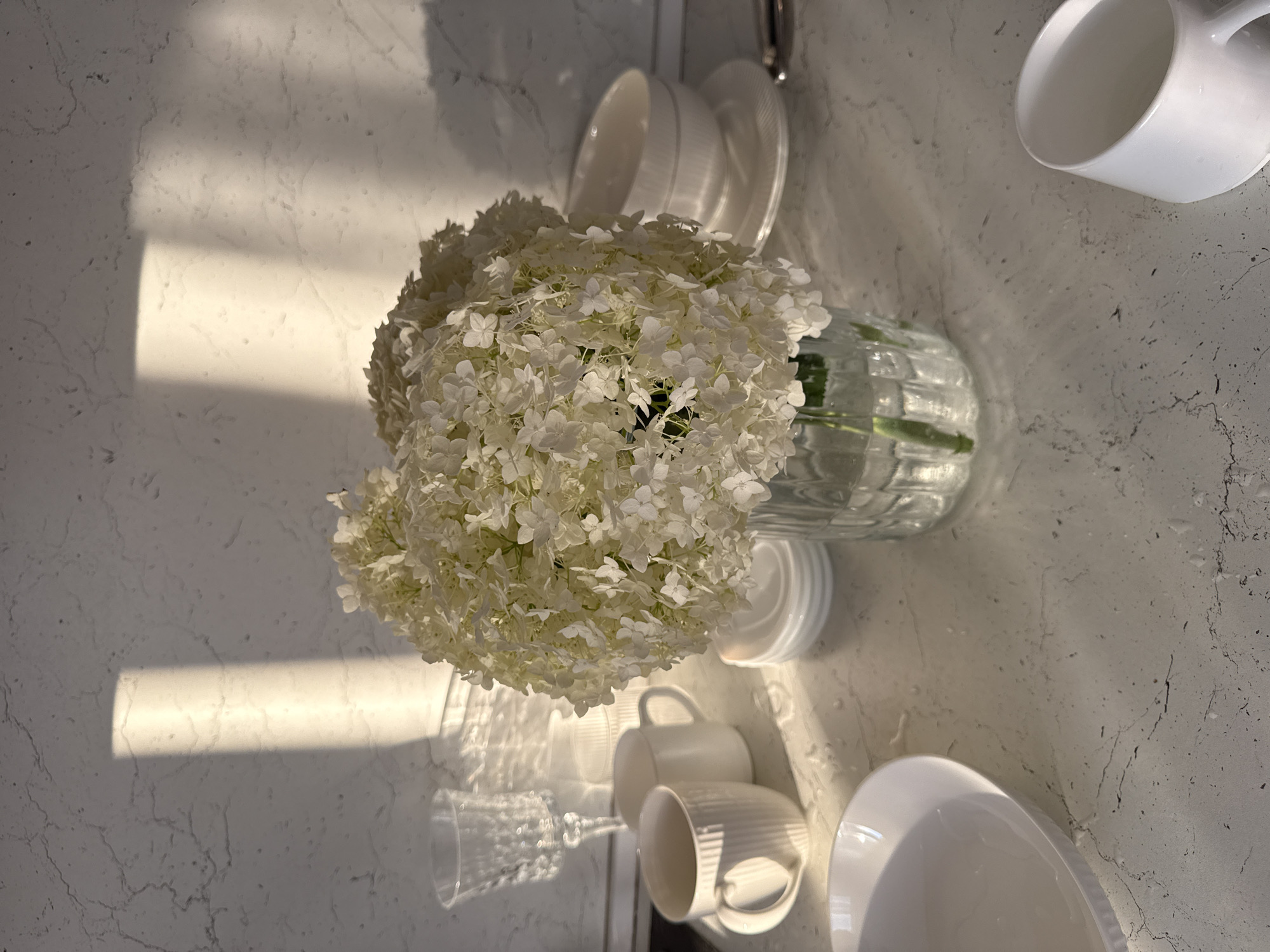 The image depicts a still life composition on a marble countertop, with a bouquet of white hydrangeas in a clear glass vase as the central subject. The hydrangeas are full and abundant, filling the vase and extending outwards. Sunlight streams in from the left, casting long, rectangular shadows on the textured, light-colored wall behind the arrangement.
Several white ceramic mugs and bowls are arranged on the countertop. To the left of the hydrangeas, two white ribbed mugs are visible, one slightly in front of the other. Further to the left, a clear, decorative glass is present. To the right of the vase, a white bowl rests on a saucer, and a stack of small white saucers is also visible. In the lower right corner, a white mug is partially visible. A large white plate is in the lower left corner of the frame. The overall scene suggests a domestic setting, possibly a kitchen or dining area, with a focus on tableware and floral decor. The lighting creates a serene and bright atmosphere. The location of Нижнеяркеево, Russia, does not have any specific visual cues within the image.