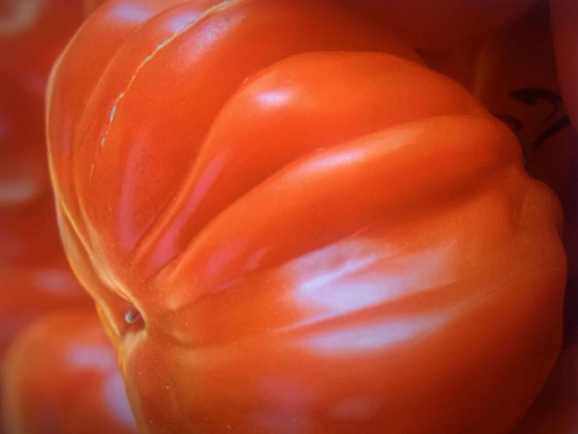 The image displays a close-up, highly detailed view of a large, ripe, heirloom tomato. The tomato is a vibrant orange-red color and exhibits prominent lobes and ridges, characteristic of this variety. The texture of the skin is smooth and glossy, reflecting the light and creating bright highlights. There are some subtle imperfections on the surface, such as small blemishes and faint lines, suggesting natural growth. In the background, other tomatoes are partially visible, blurred and out of focus, hinting at a larger quantity or a display of these fruits. The lighting is bright and focused on the foreground tomato, emphasizing its shape and color. There is no discernible text in the image. The setting appears to be a market or a farm stand in Almaty, Kazakhstan, given the context provided. No specific time of day or weather conditions can be determined from the image itself. The overall impression is one of freshness and abundance of produce.