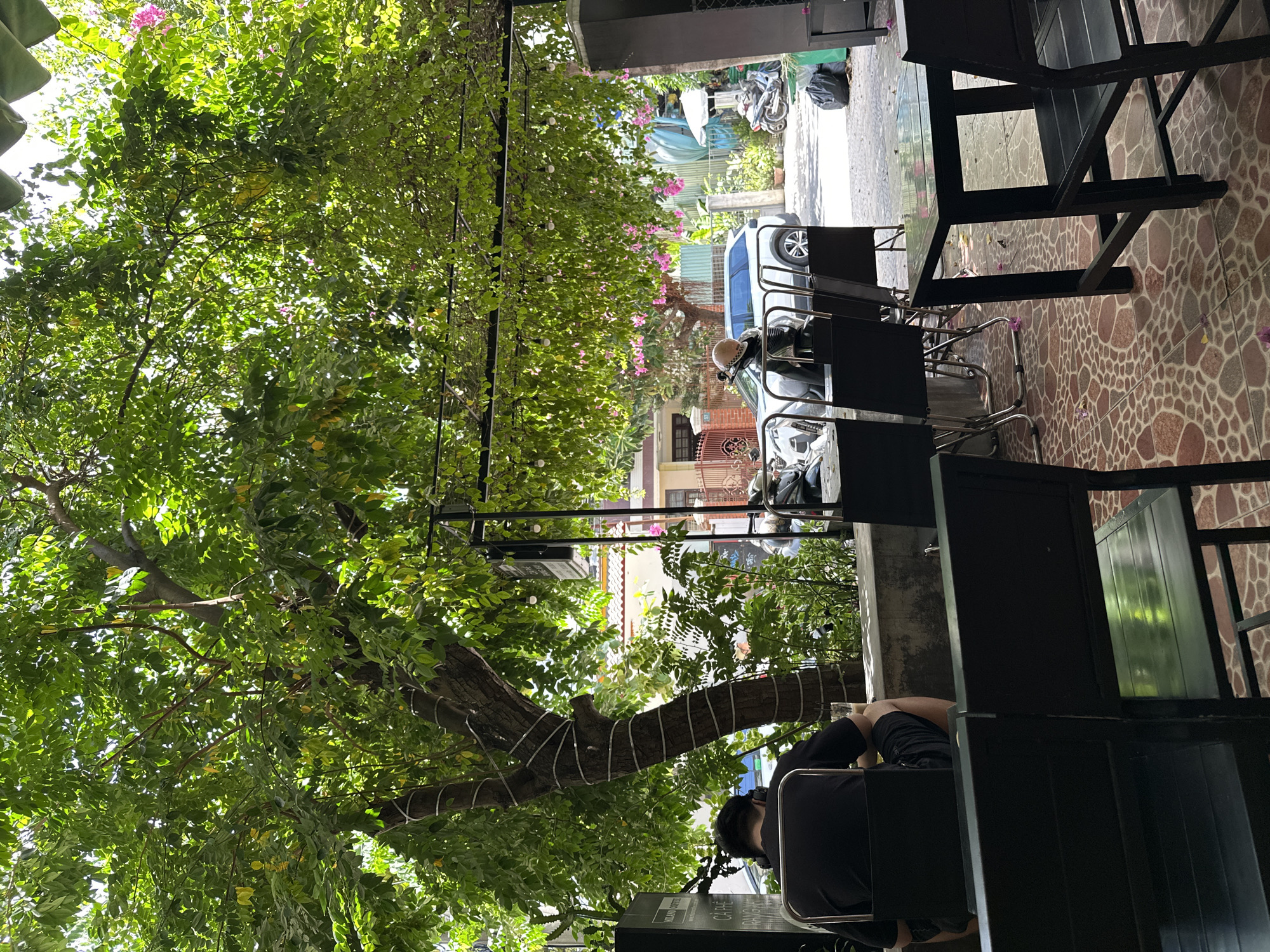 The image shows an outdoor seating area of a cafe in Da Nang, Vietnam. A person is seated at a table, facing away from the camera, wearing a black t-shirt and shorts. The seating area is shaded by a dense canopy of green leaves, with some pink flowers visible. In the background, there are parked vehicles including a white car and motorcycles, and buildings with tiled roofs. The ground is paved with patterned tiles.