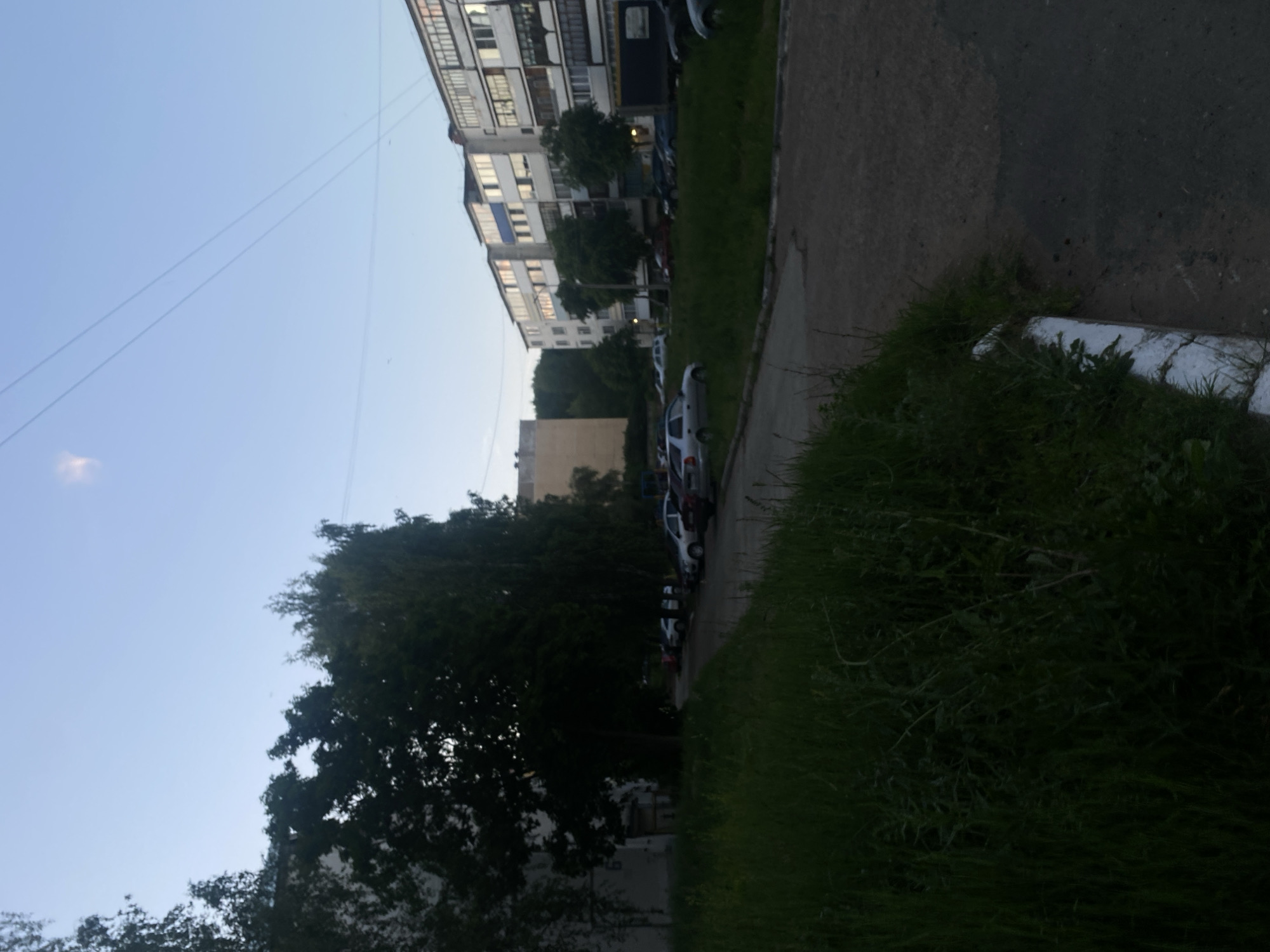 This image captures a low-light residential scene in Noviy, Russia, likely during twilight hours. The upper portion of the frame features a clear, light blue sky traversed by thin utility lines, with a faint, elongated cloud or atmospheric anomaly visible in the upper left. The foreground is dominated by a dense patch of dark green grass and weeds on the left, meeting an asphalt road or parking lot surface on the right, delineated by a white curb. In the left midground, a large, dark-foliaged tree obscures a portion of a light-colored building, where the numeral "6" is faintly discernible on its facade. Extending across the background are multiple multi-story apartment buildings, typical of post-Soviet architecture, featuring numerous windows and various enclosed balconies, some with blue paneling. An assortment of vehicles, primarily sedans, are parked along the asphalt area between the trees/grass and the apartment buildings. In the far background, behind the leftmost apartment block, a large, light-beige building is partially visible, flanked by distant trees. No individuals are present in the scene.